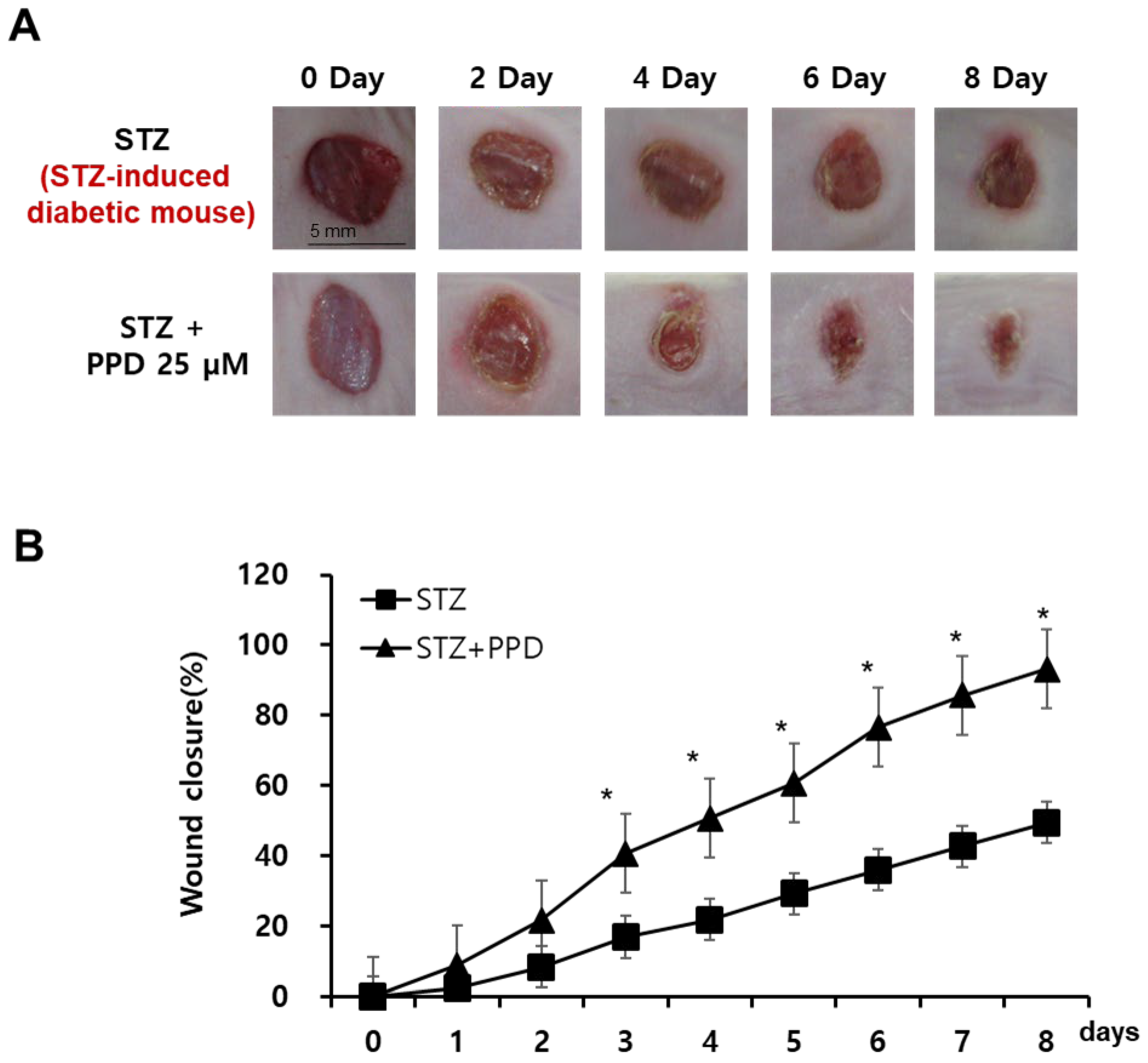 Processes 11 00692 g009