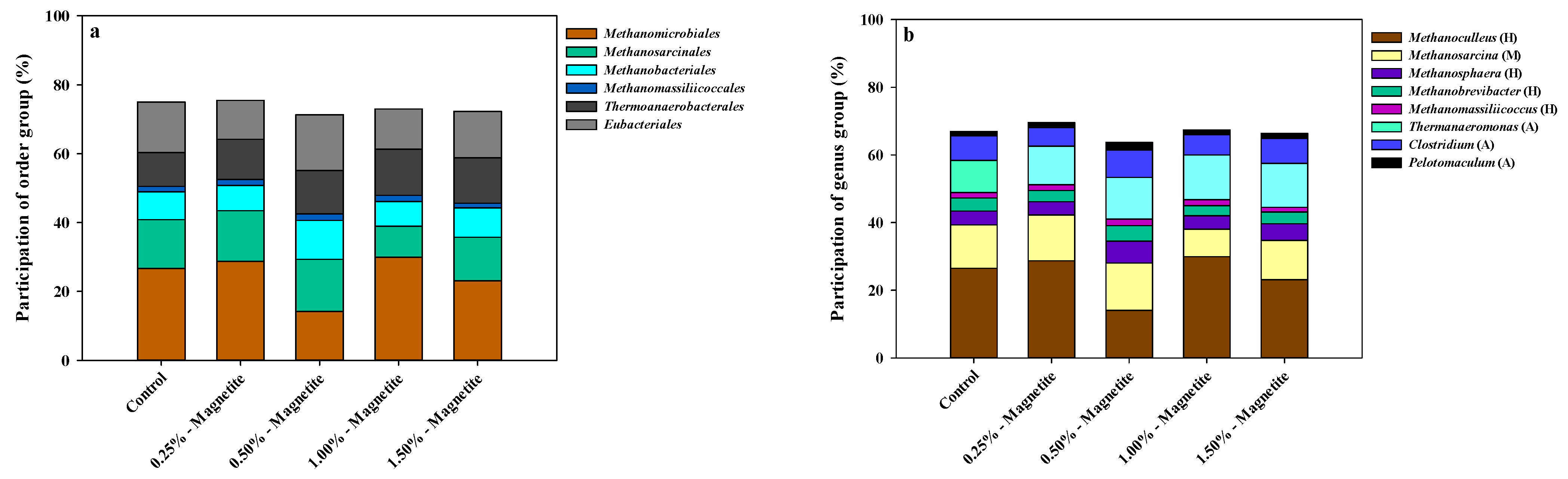 Magnetite Alters the Metabolic Interaction between Methanogens and