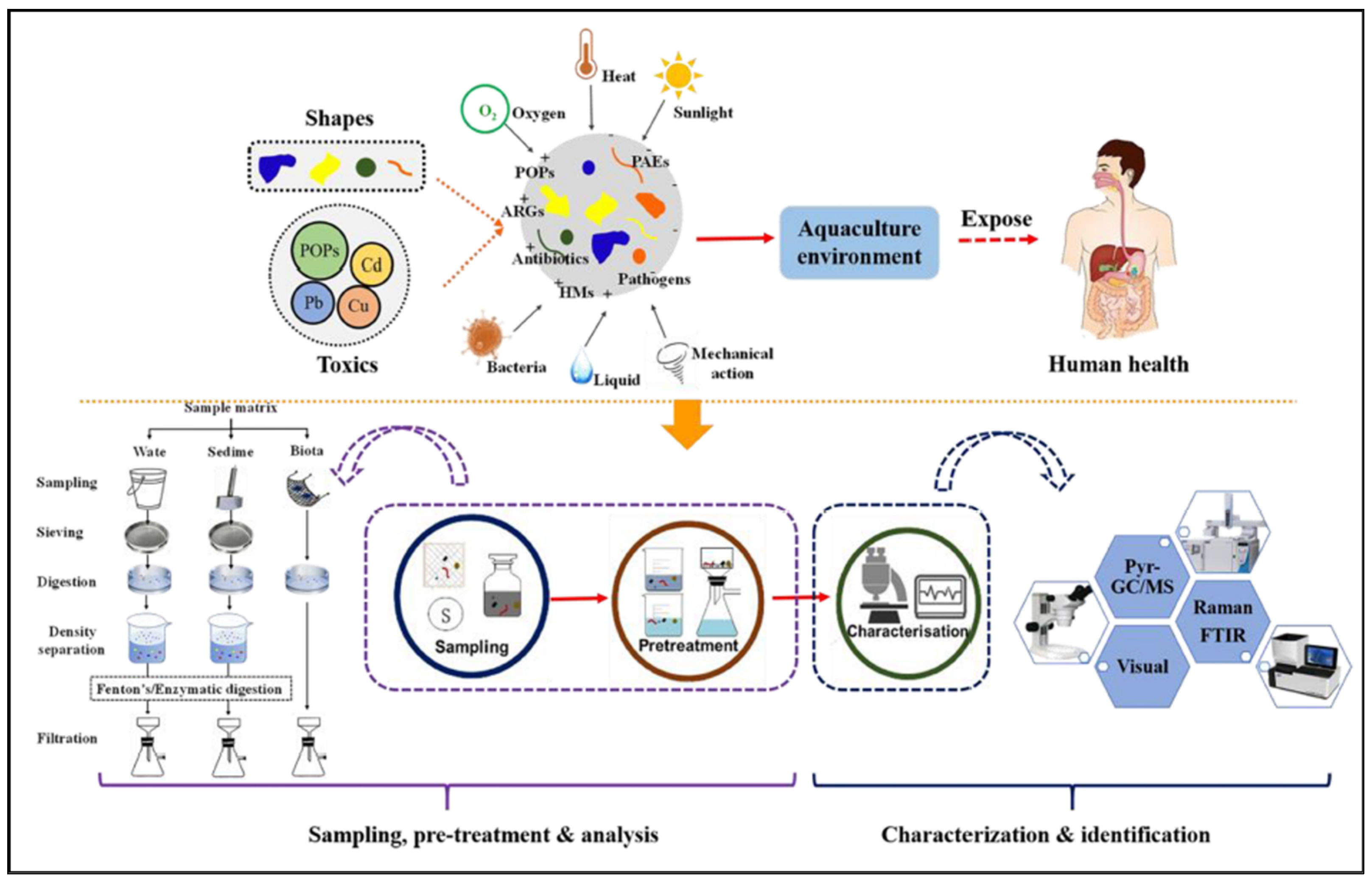 Unaccounted Microplastics in Wastewater Sludge: Where Do They Go