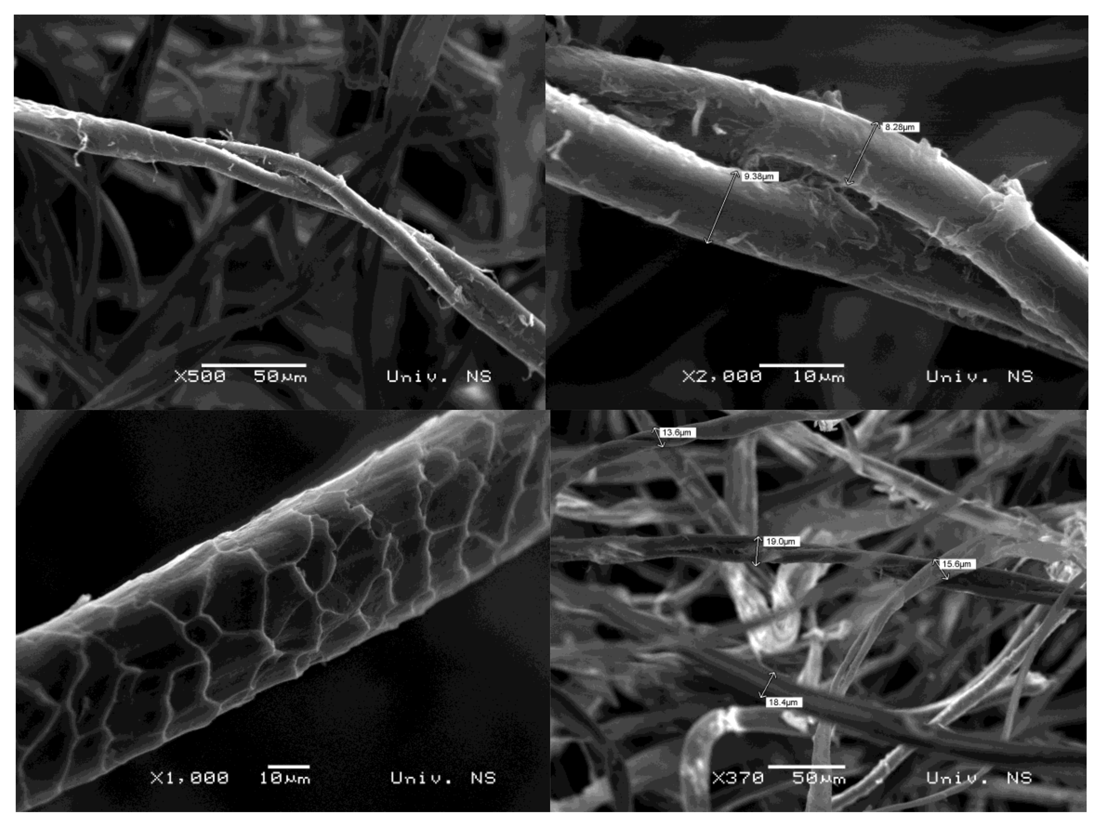 Processes 11 00820 g002 Processes 11 00820 g002