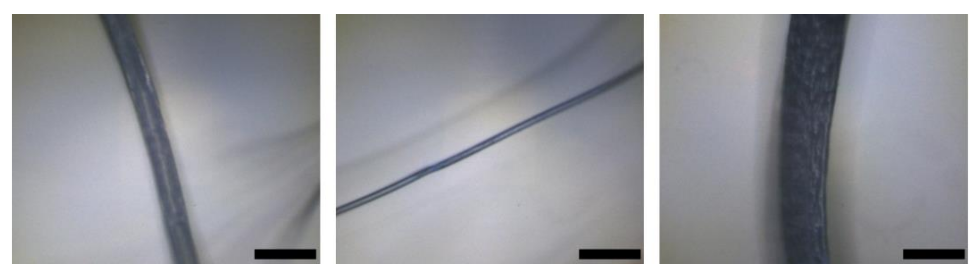 Processes 11 00820 g007 Processes 11 00820 g007