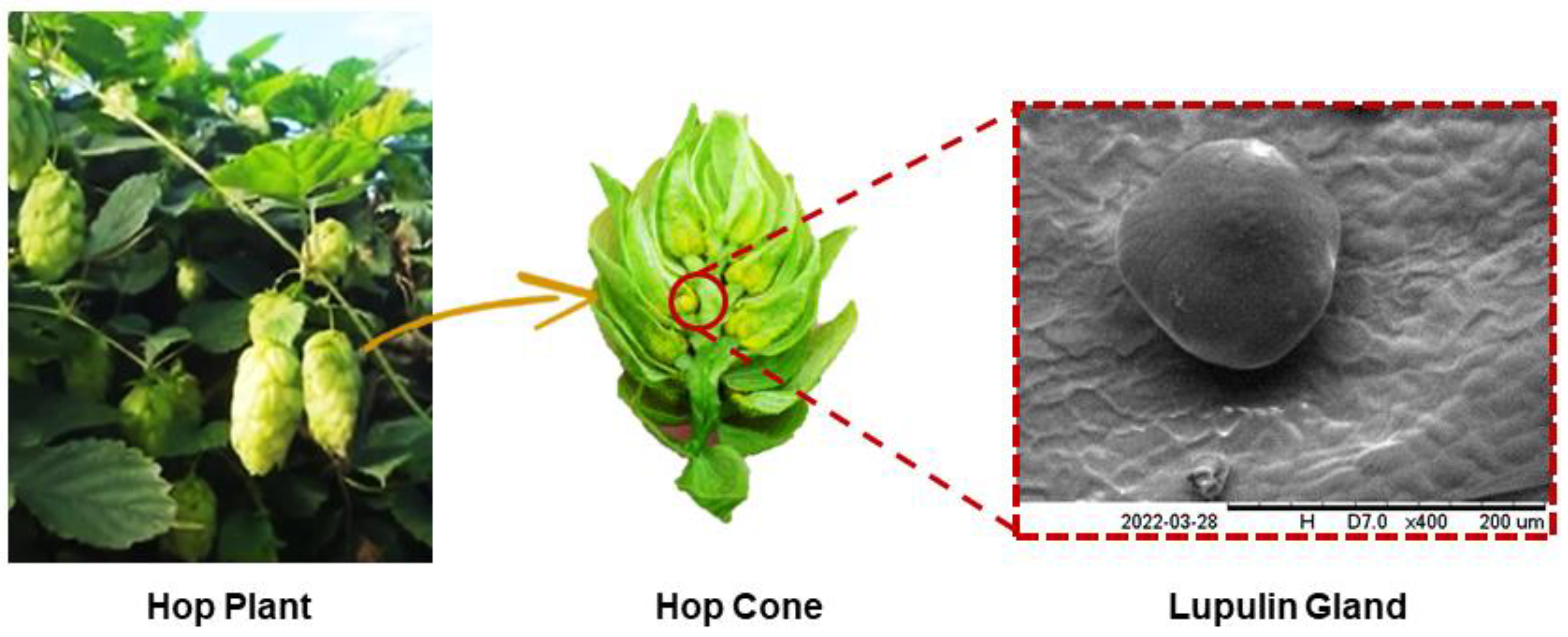 Processes 11 00921 g003
