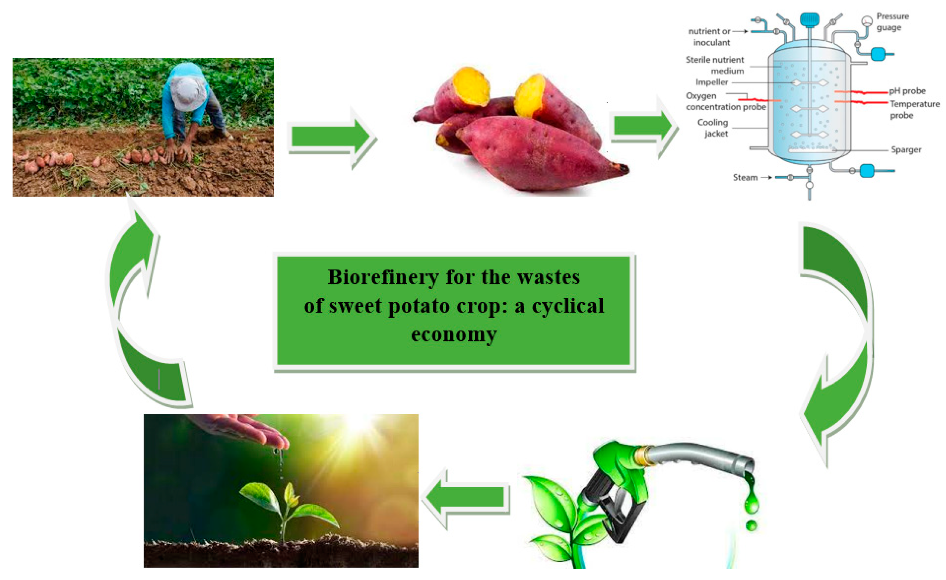 Processes 11 00992 g003 Processes 11 00992 g003