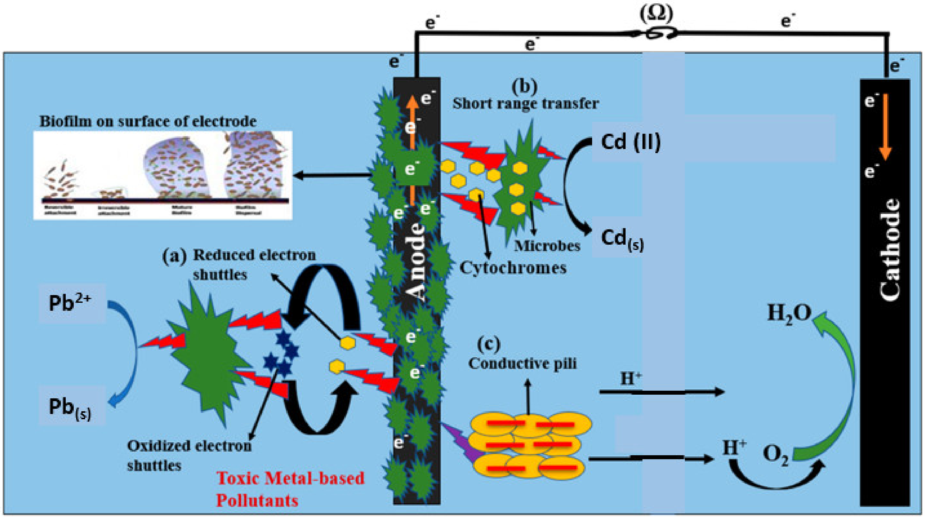Processes 11 01060 g008
