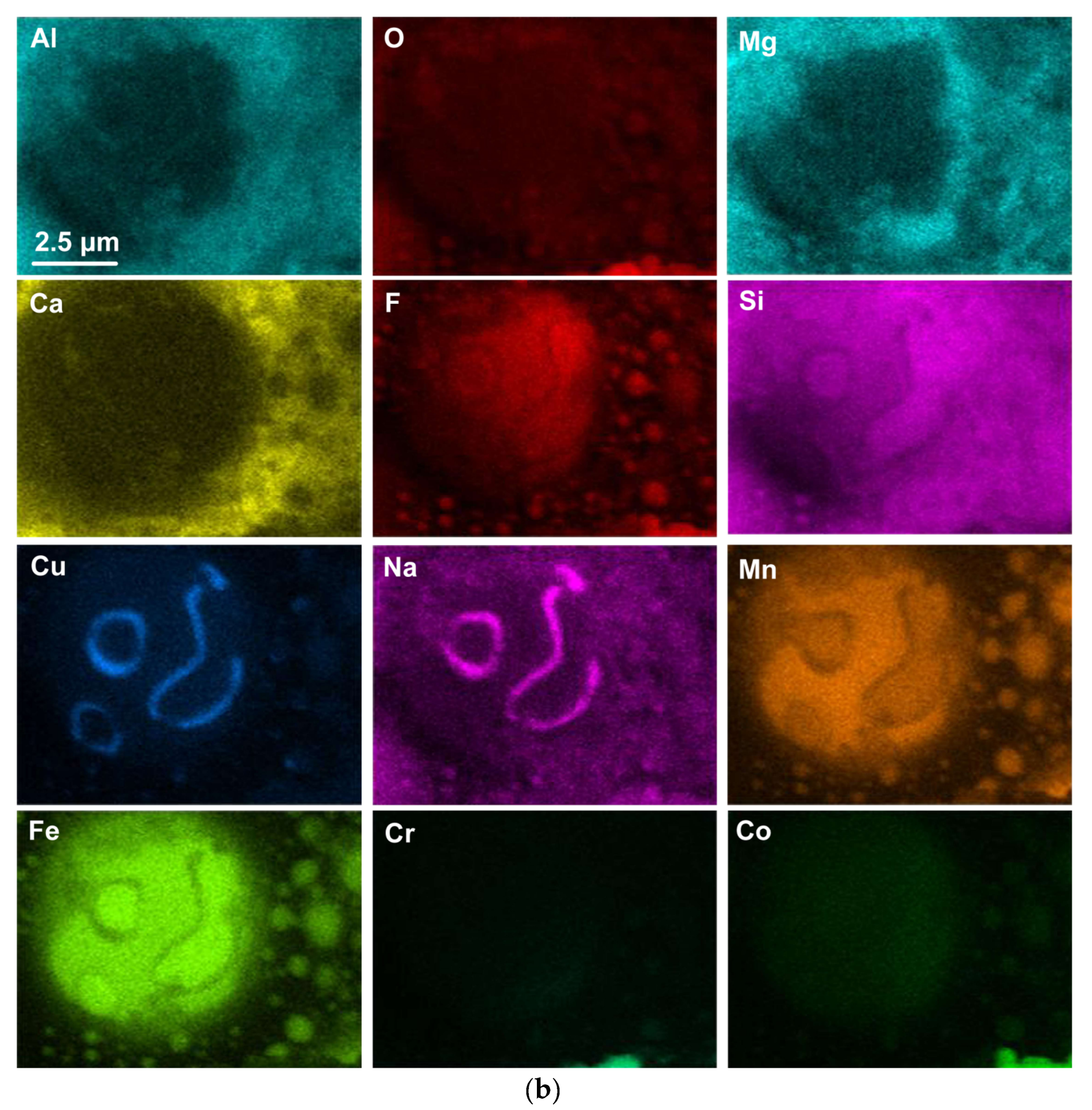 Processes 11 01116 g006b
