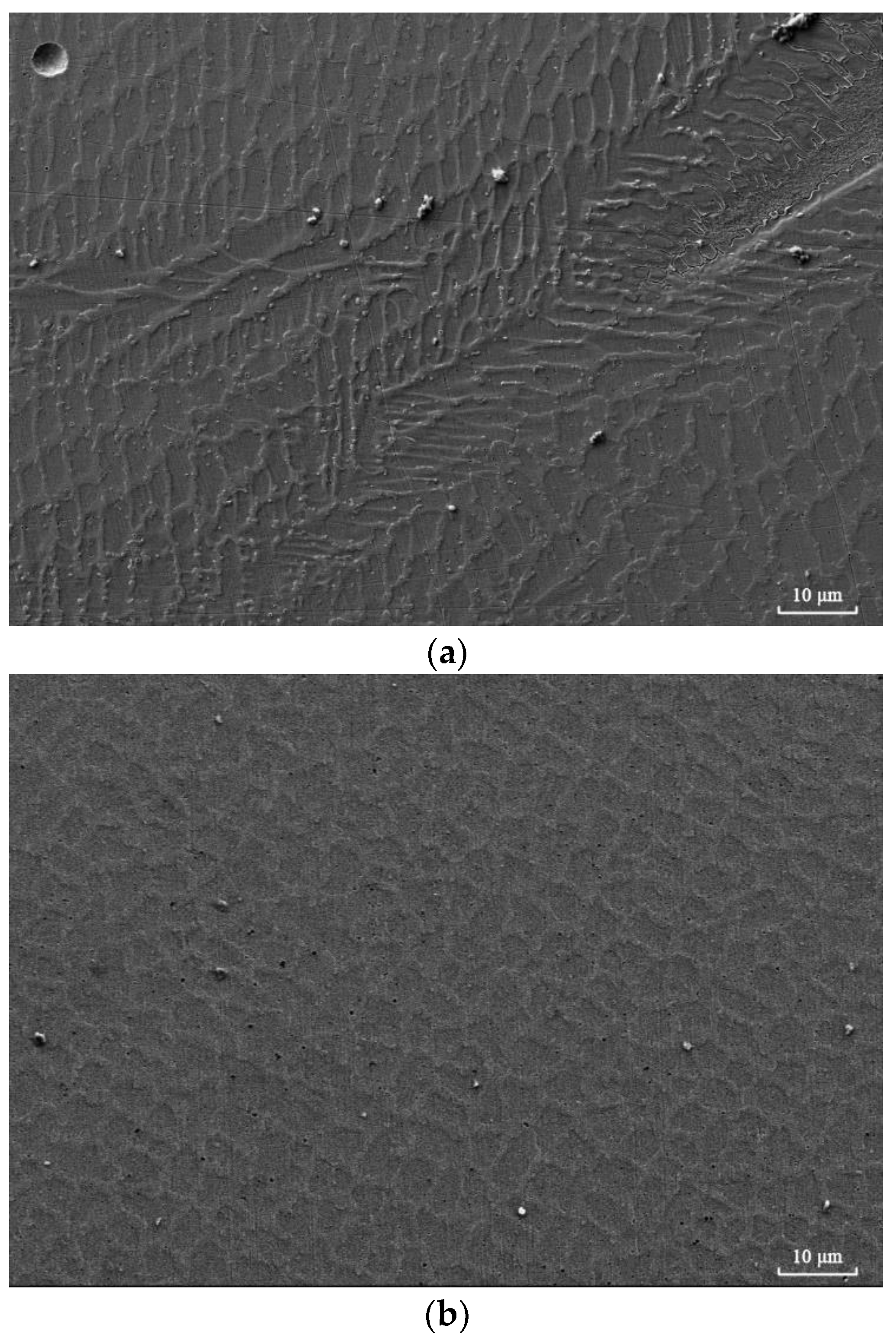 Processes 11 01118 g005
