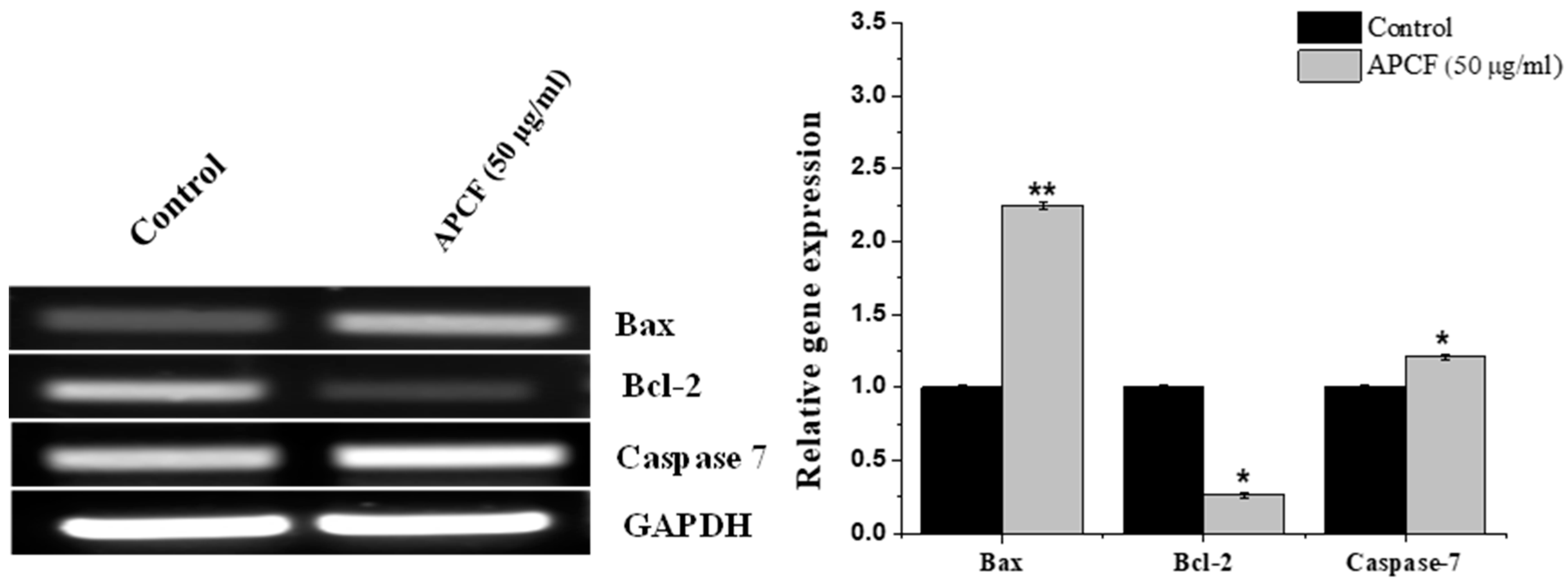 Processes 11 01306 g004