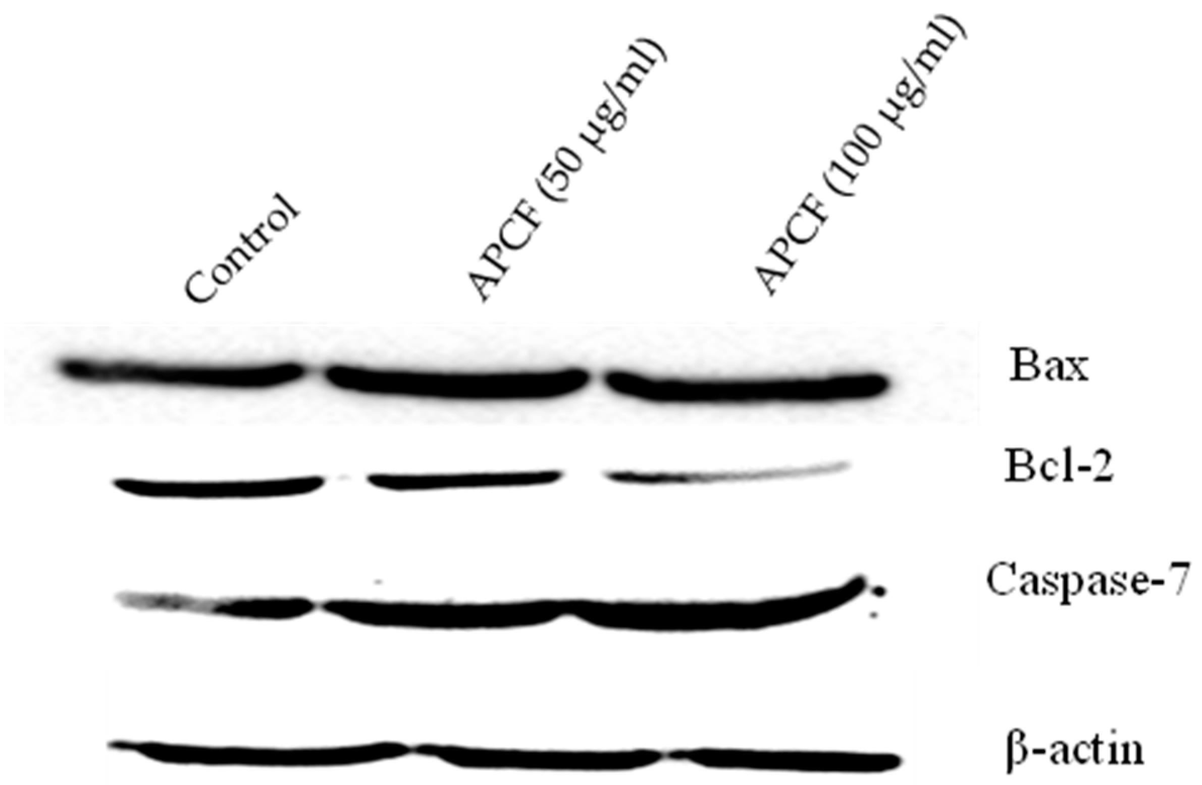 Processes 11 01306 g005