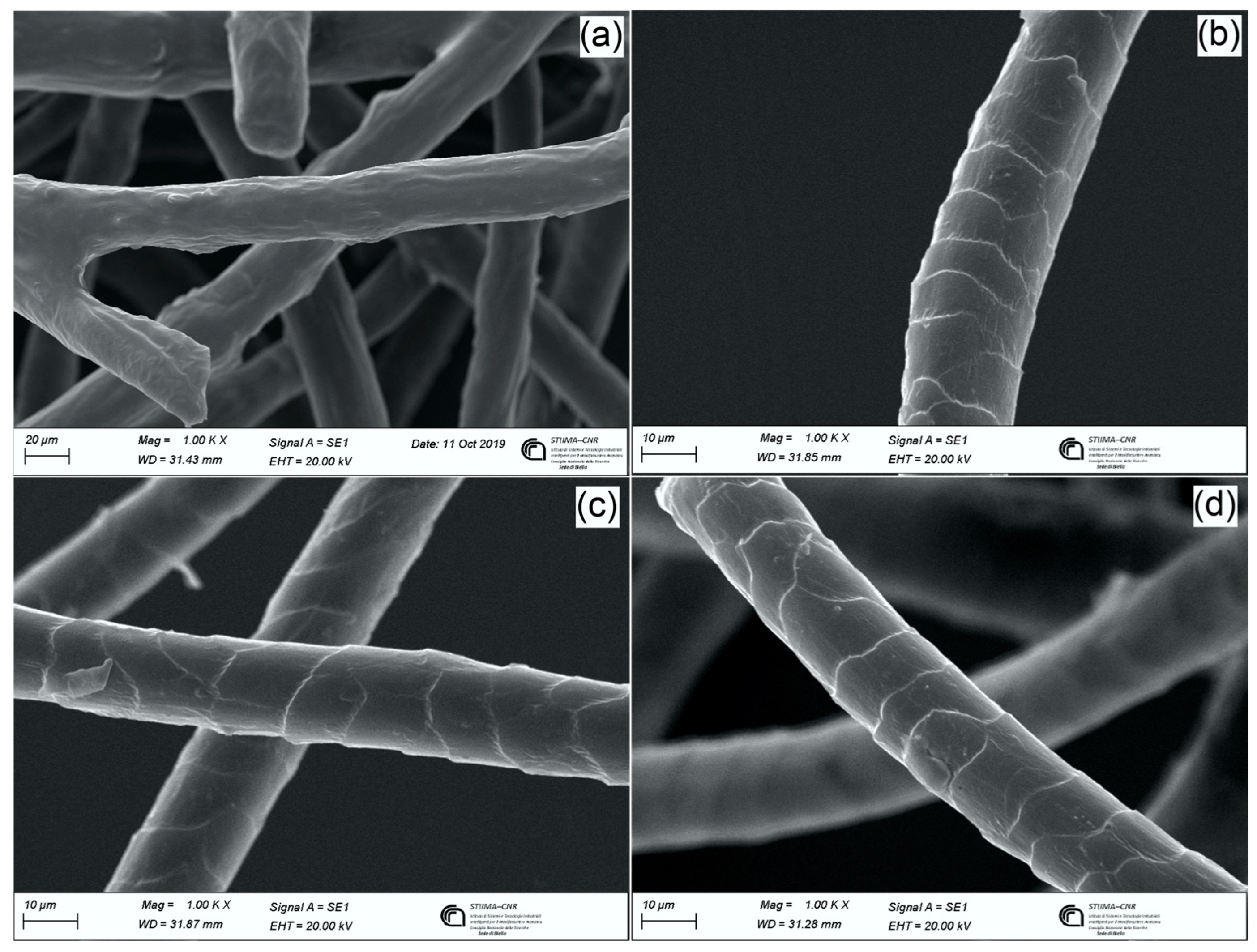 Processes 11 01309 g003 Processes 11 01309 g003