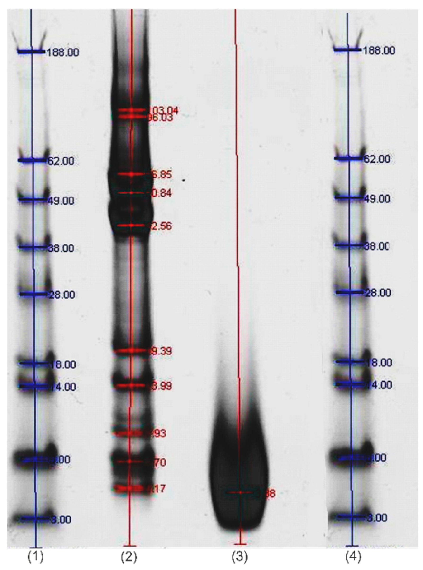 Processes 11 01309 g004 Processes 11 01309 g004