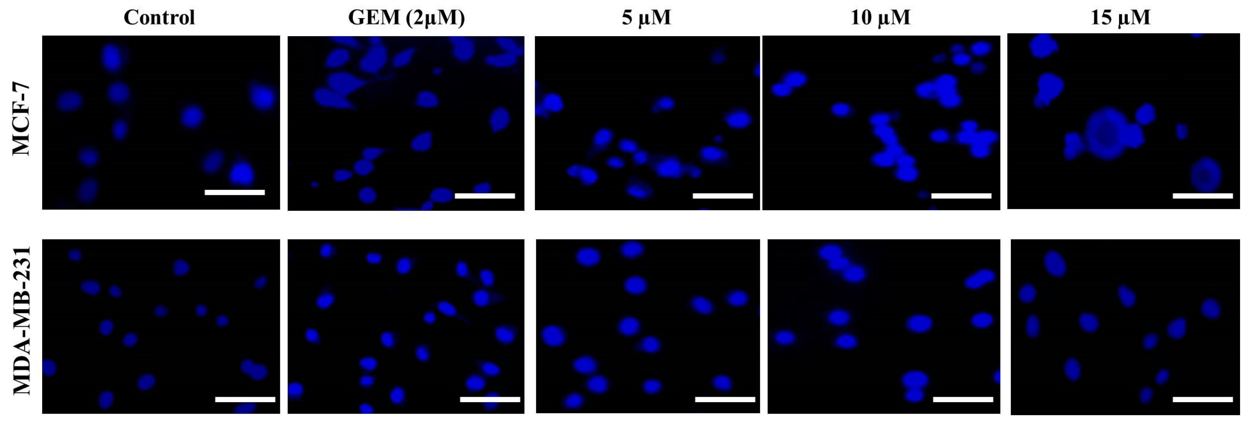Processes 11 01452 g007 Processes 11 01452 g007
