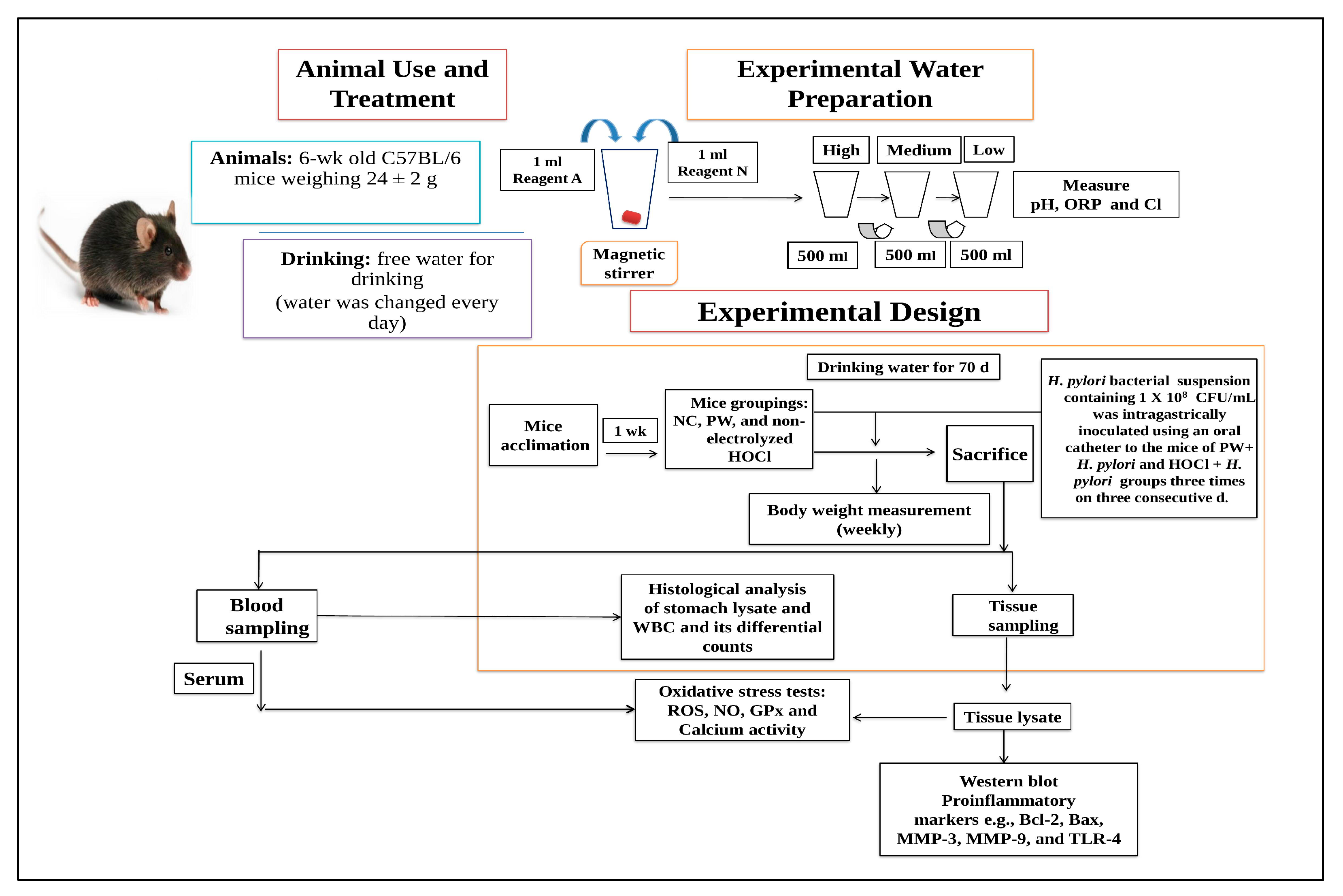 Processes 11 01474 g001