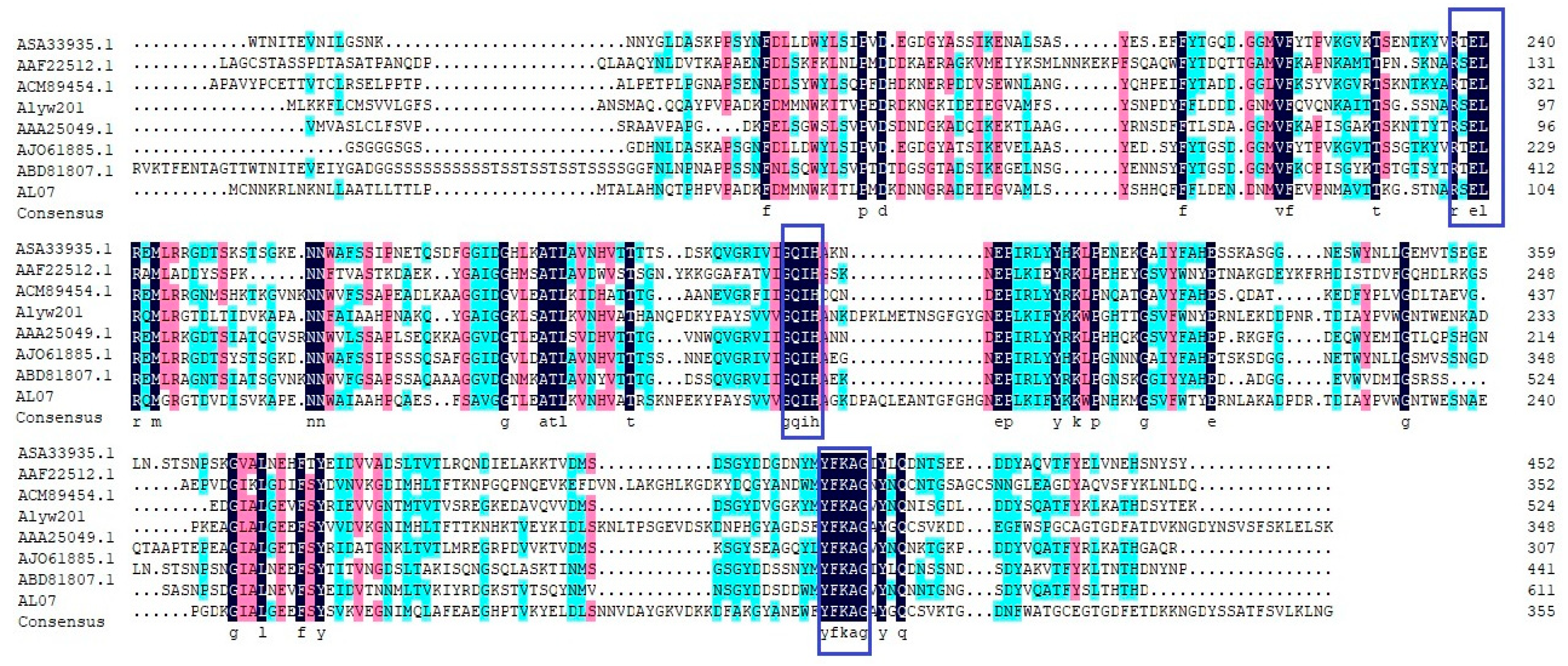 Processes 11 01495 g001 Processes 11 01495 g001