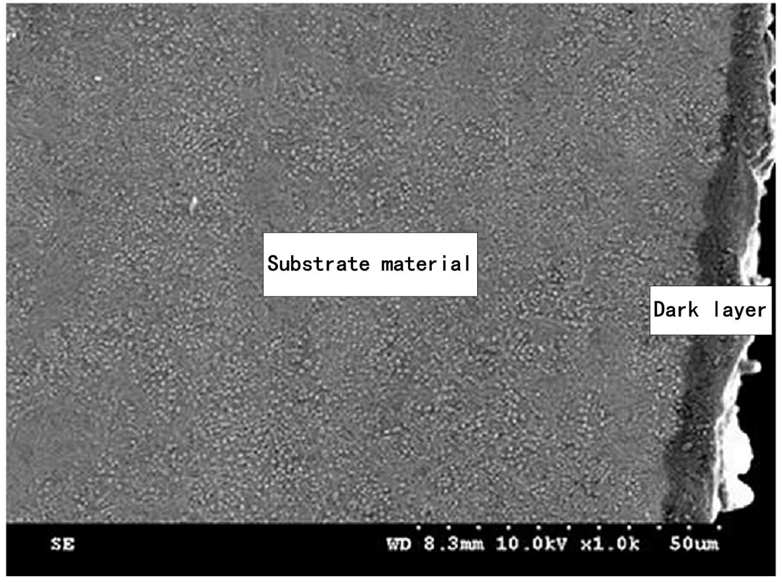 Processes 11 01546 g020