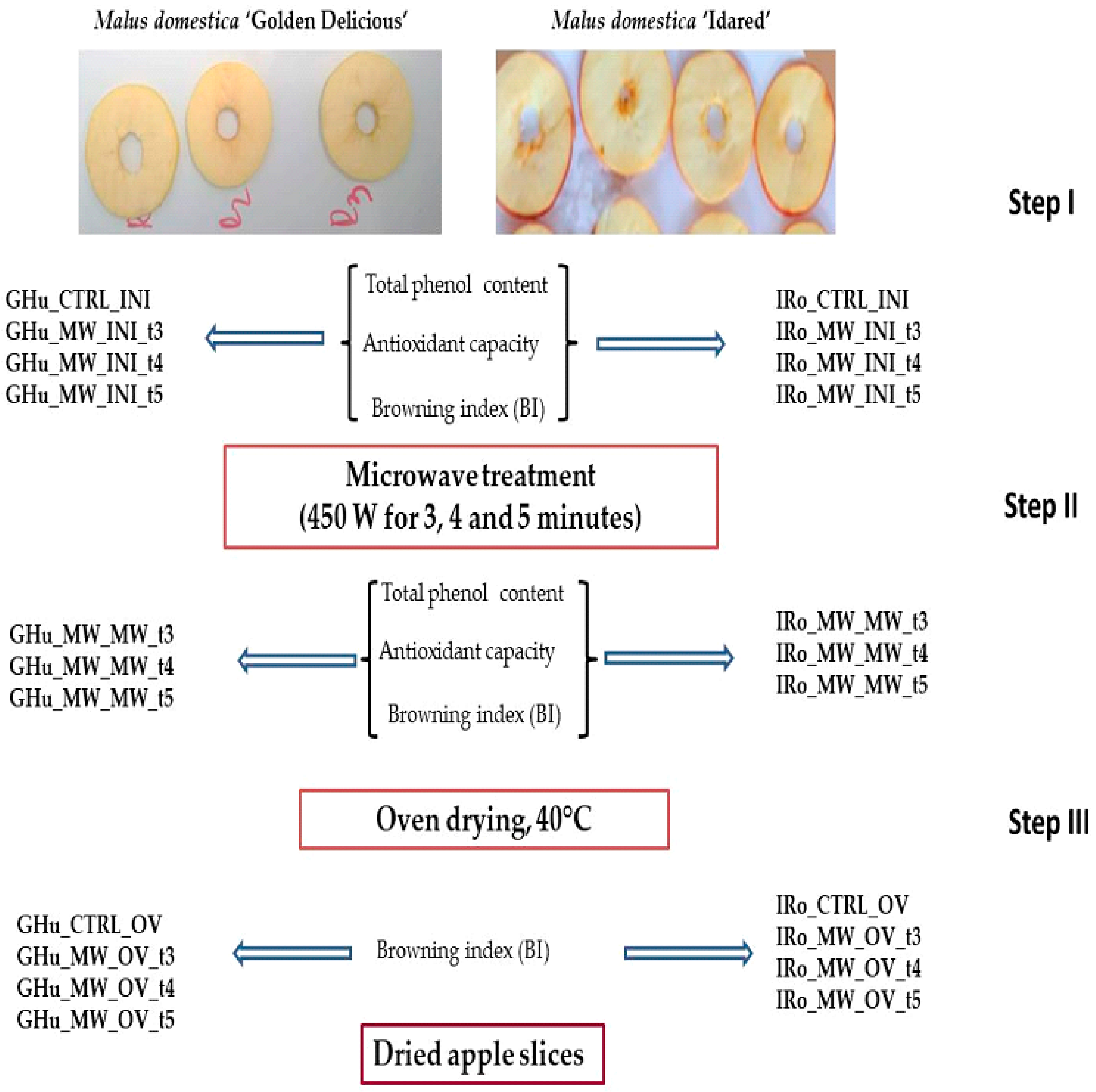 Processes 11 01601 g001