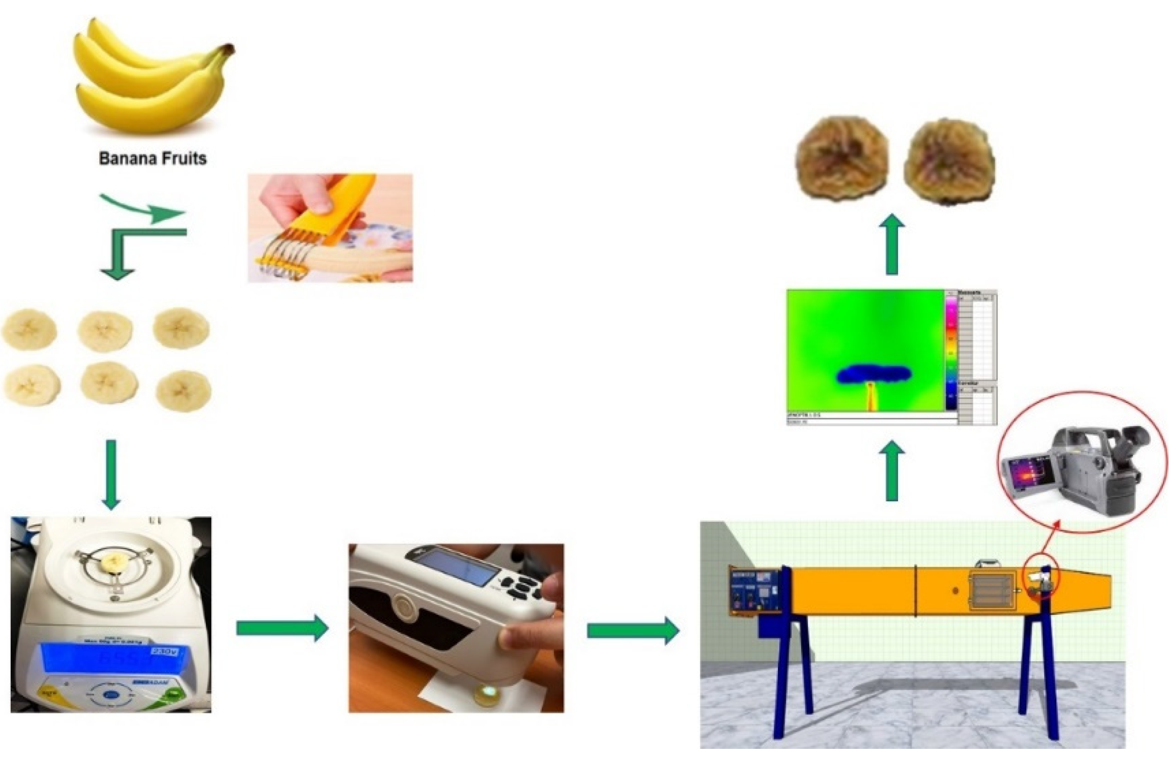 Automatic food dehydrator banana chips mango vegetable dryer fruit