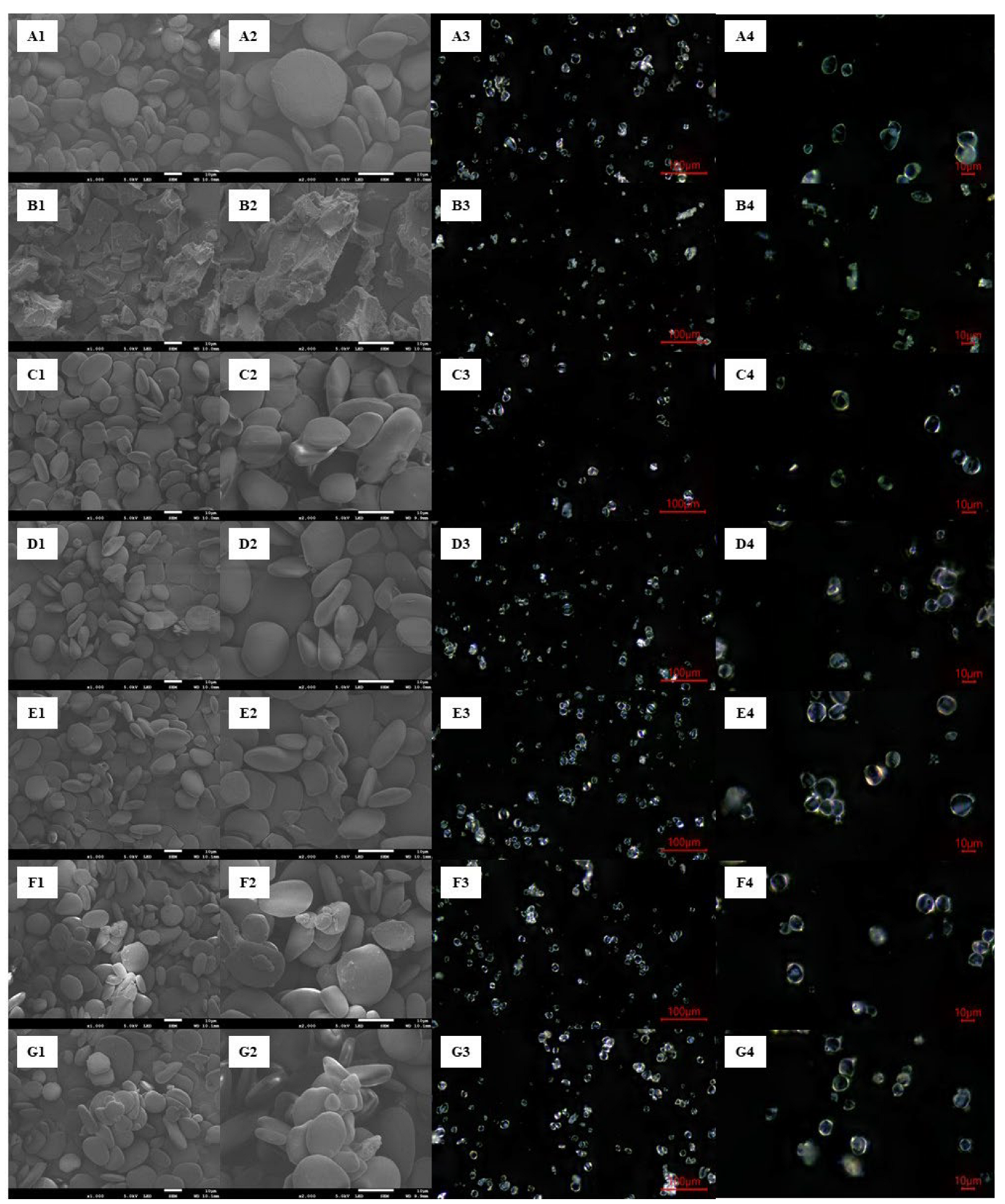 Processes 11 01828 g004 Processes 11 01828 g004