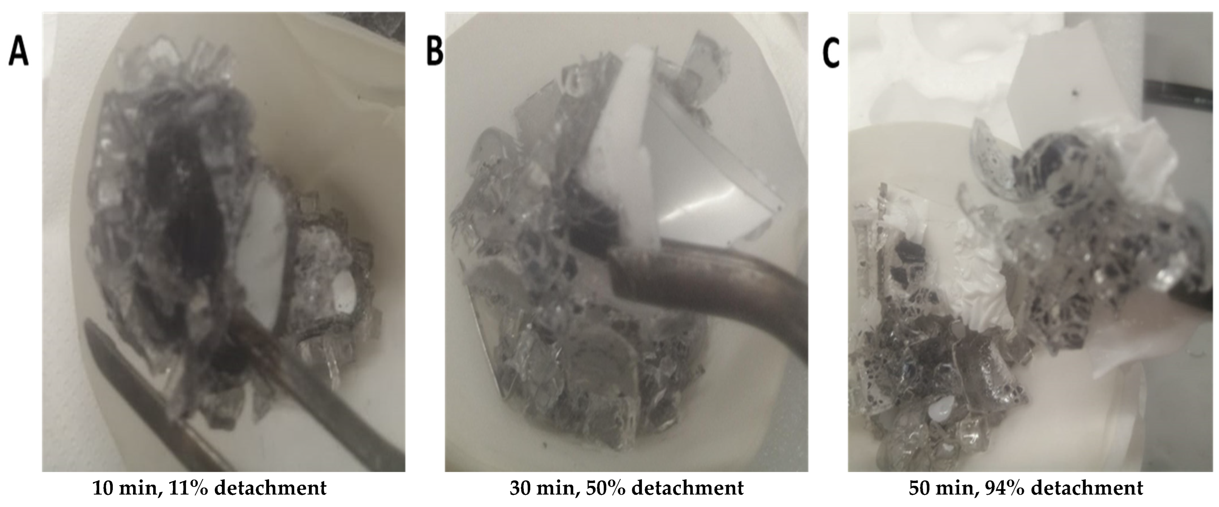 Processes 11 01848 g005