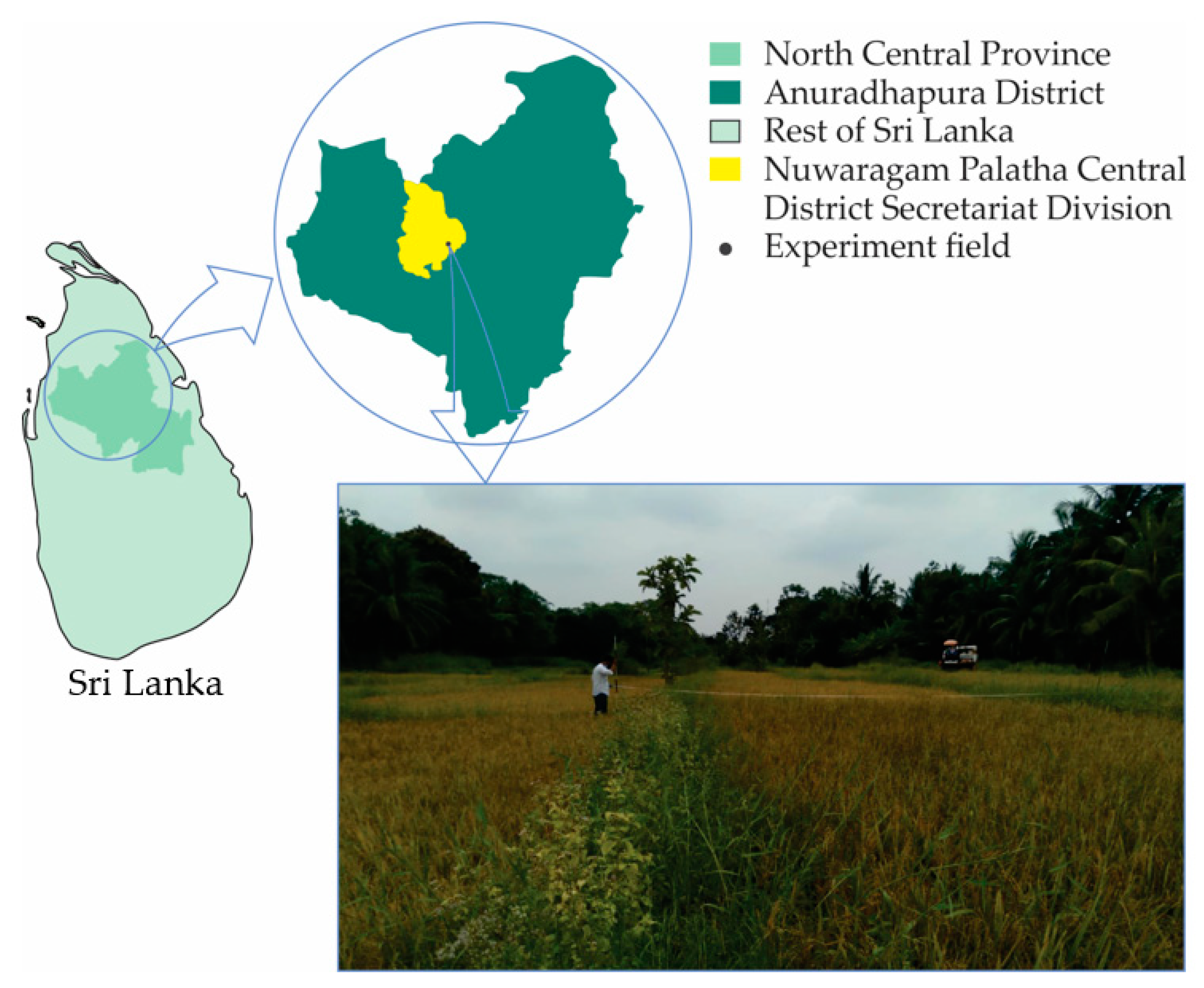 Processes 11 01851 g004