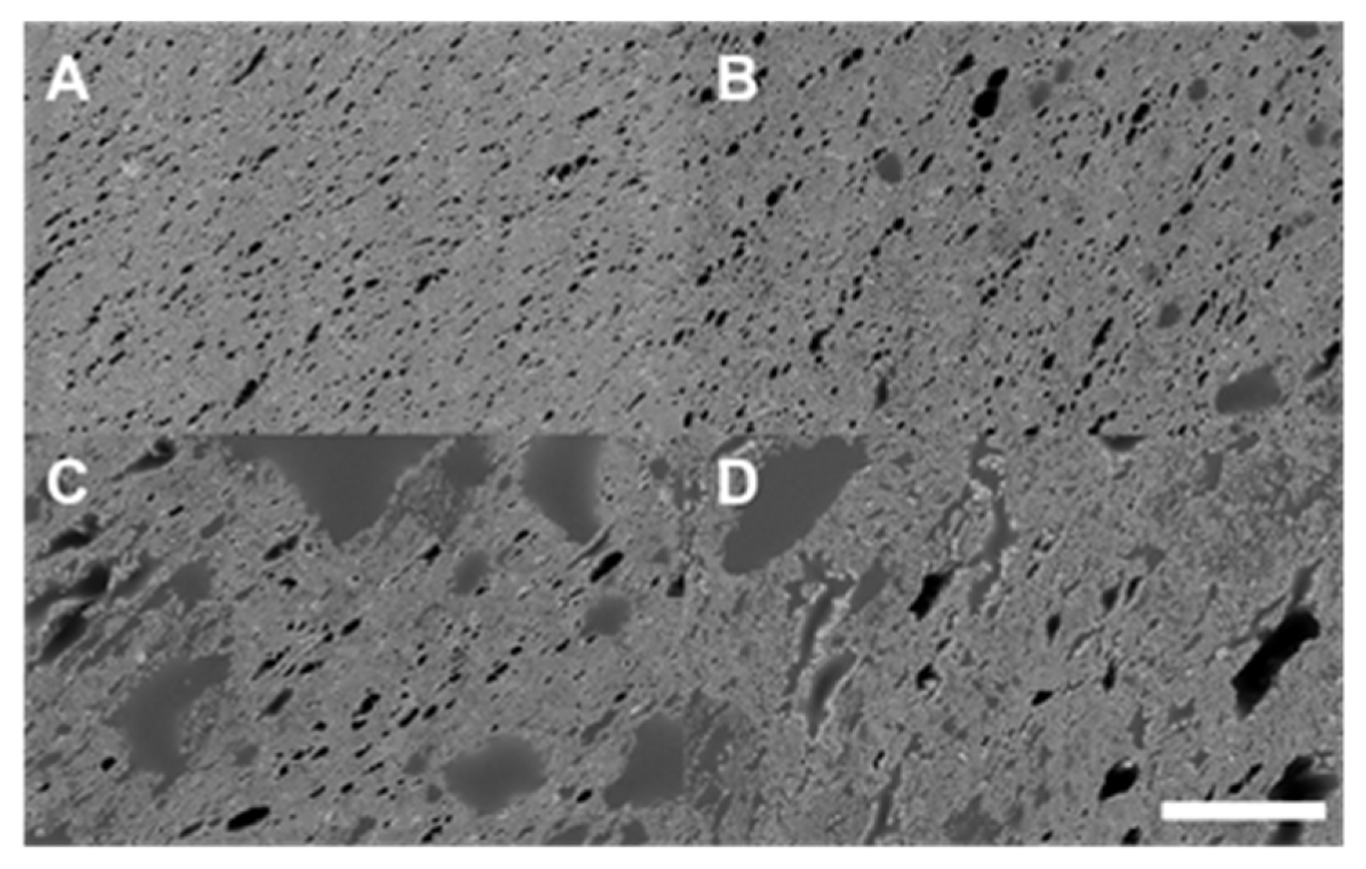 Processes 11 01871 g004 Processes 11 01871 g004