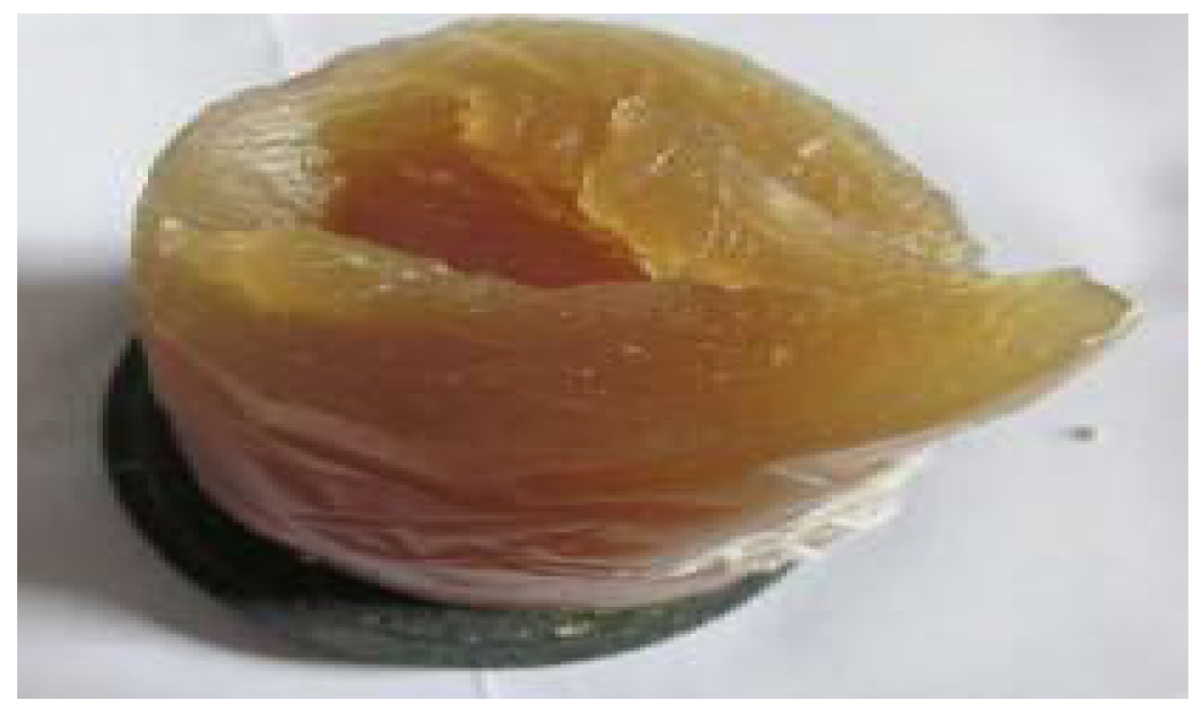 Processes 11 01890 g003