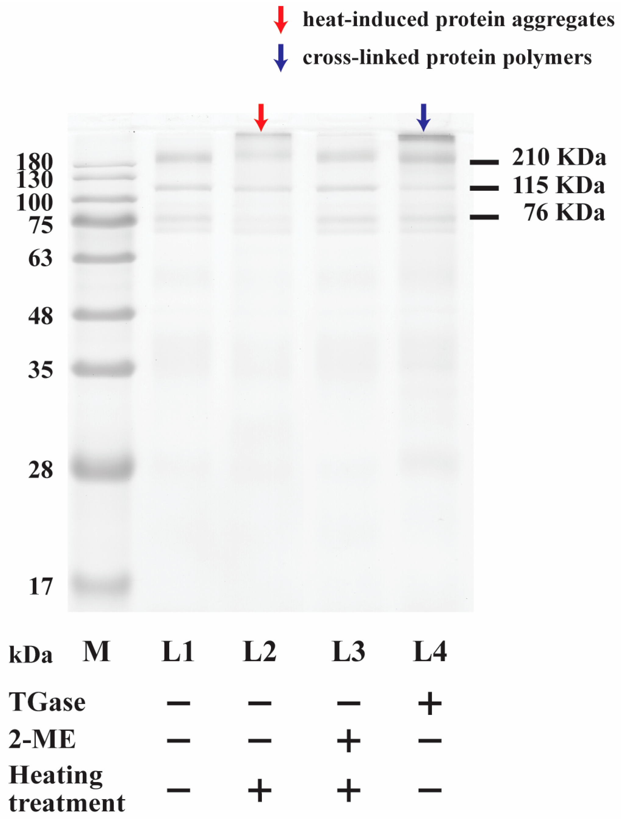 Processes 11 01941 g001 Processes 11 01941 g001