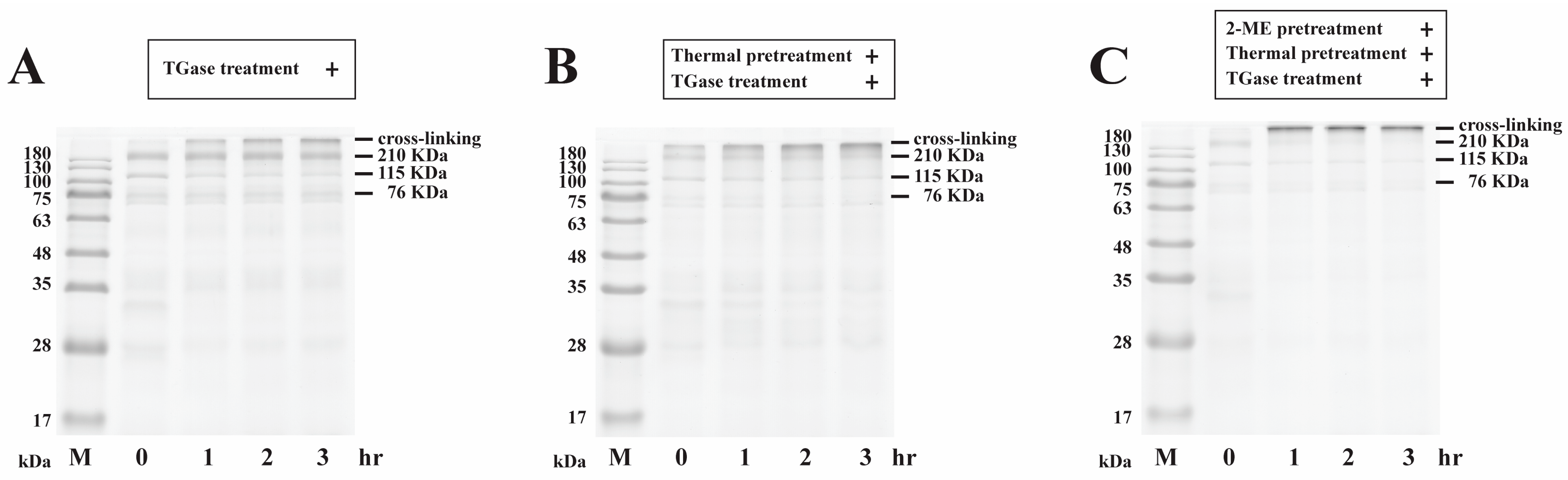 Processes 11 01941 g002 Processes 11 01941 g002