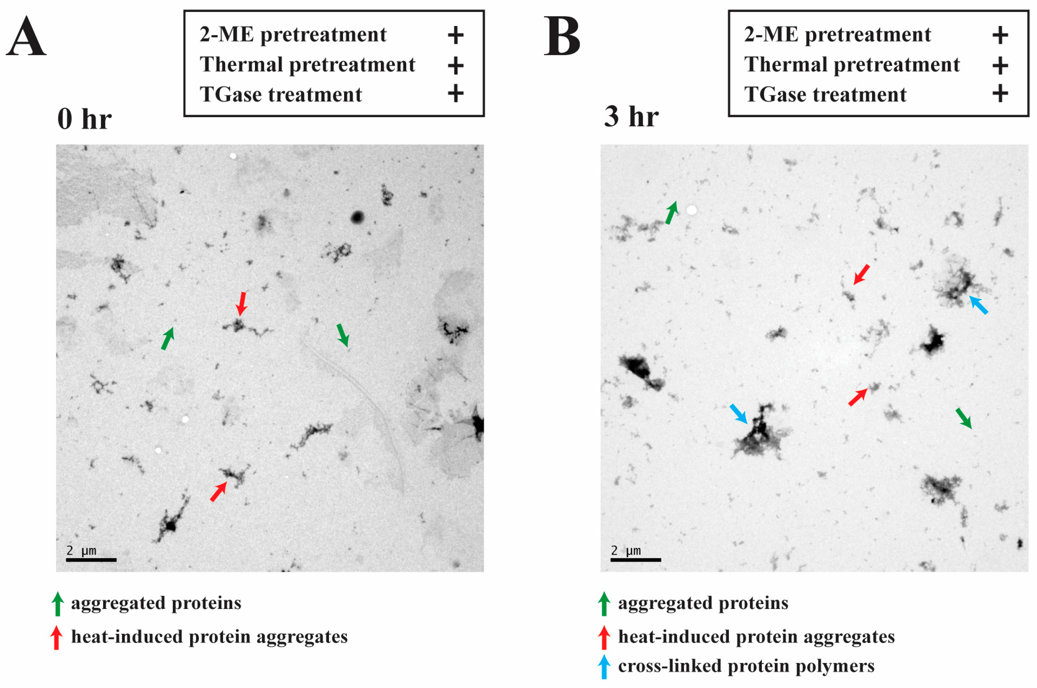 Processes 11 01941 g005 Processes 11 01941 g005