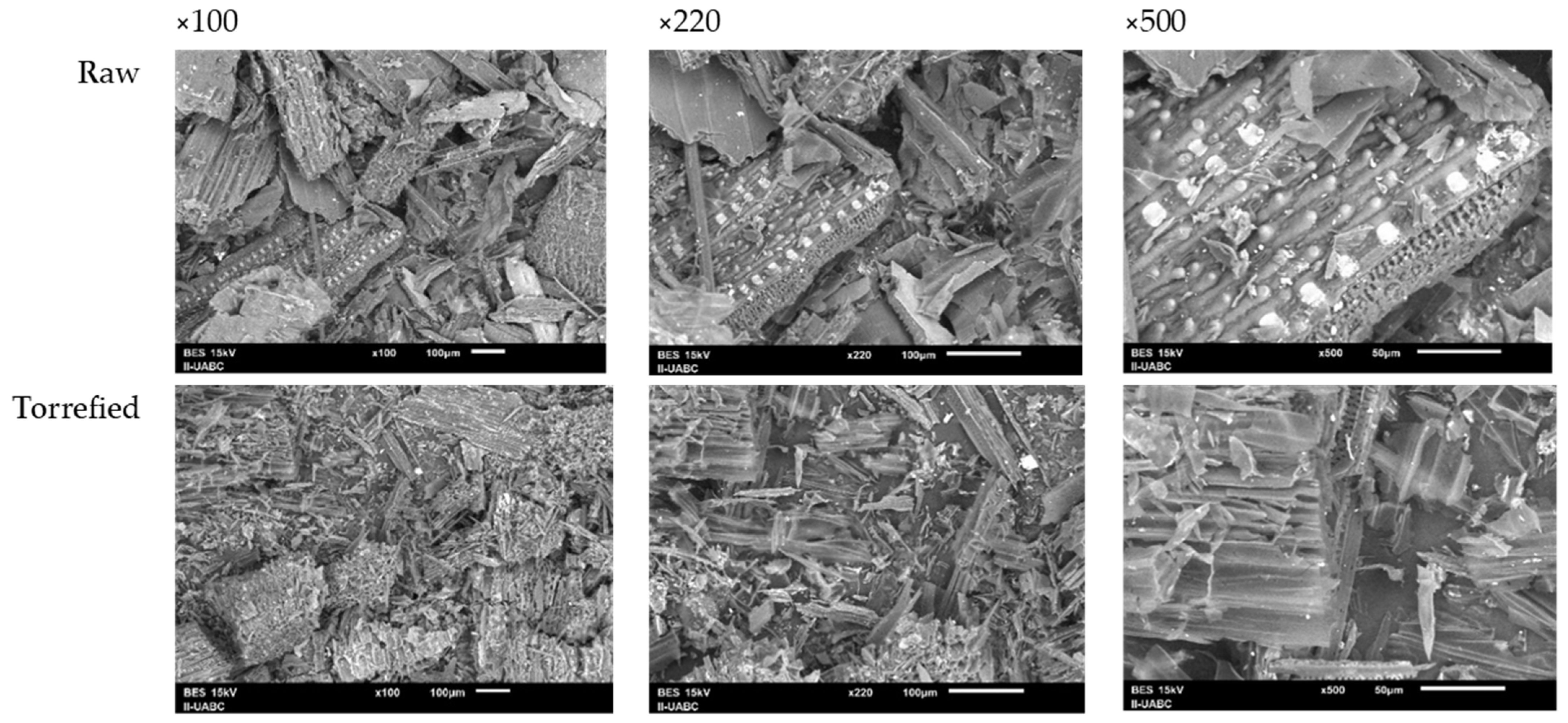 Processes 11 01971 g007