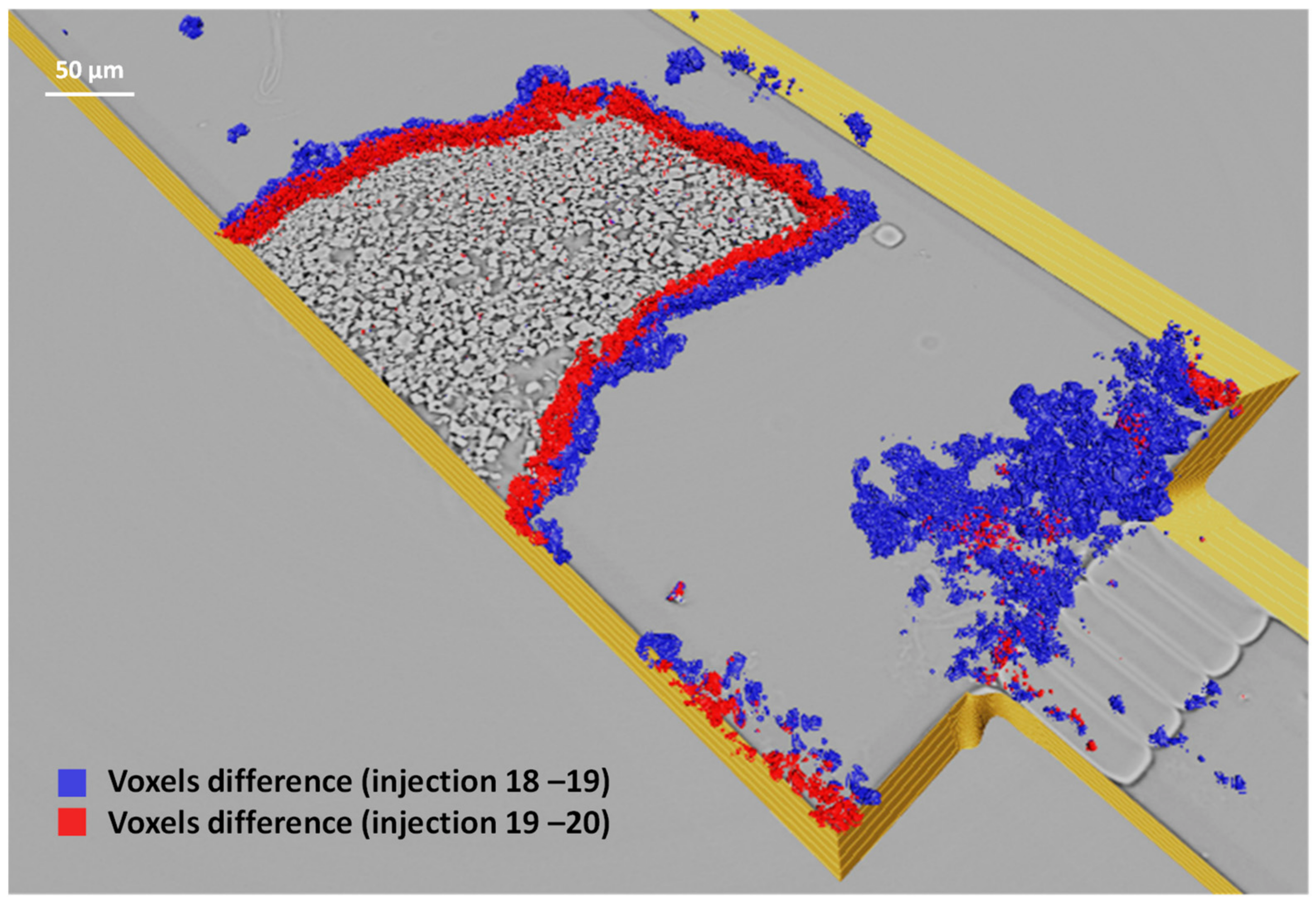 Processes 11 01981 g006