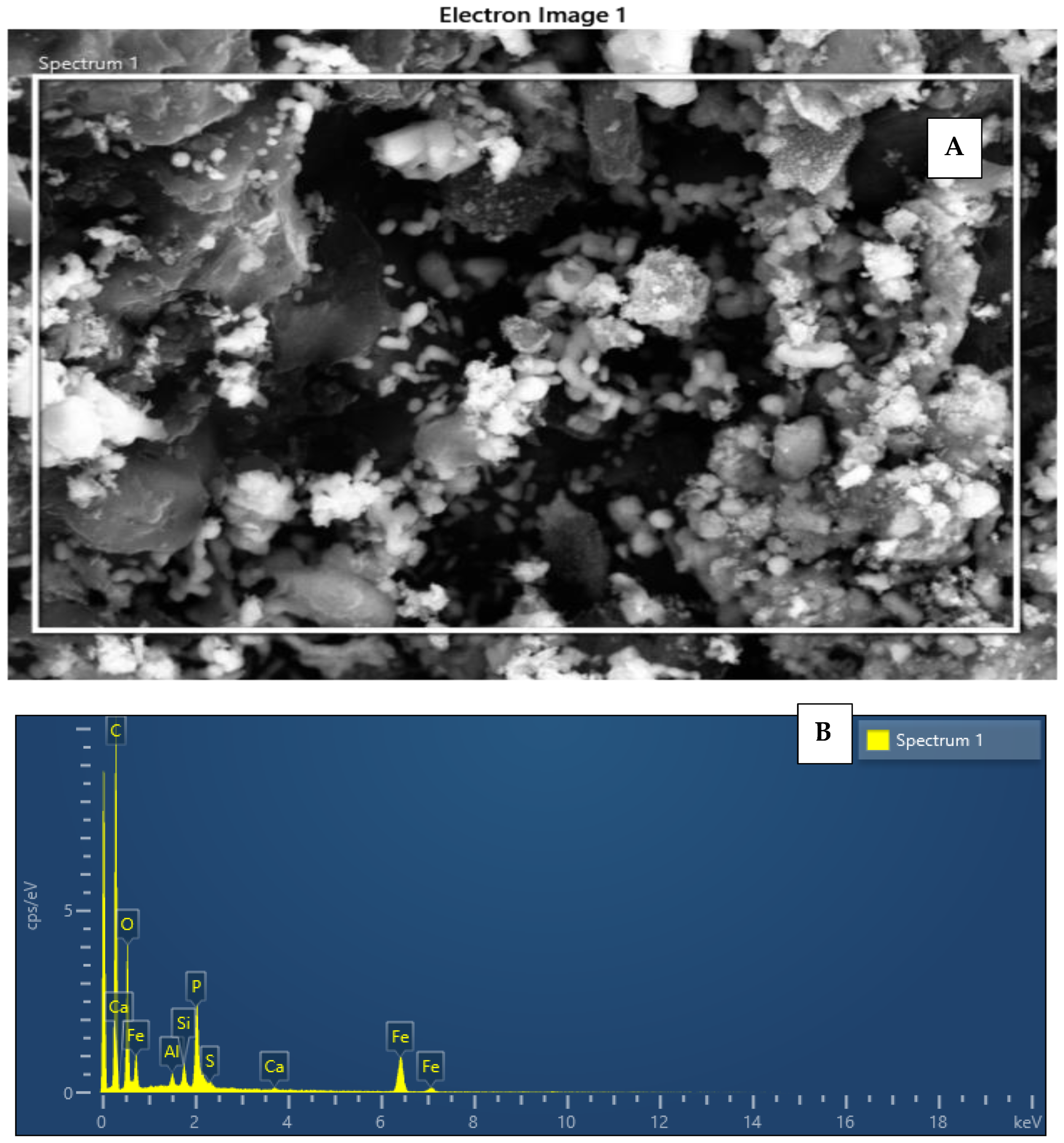 Processes 11 01990 g003