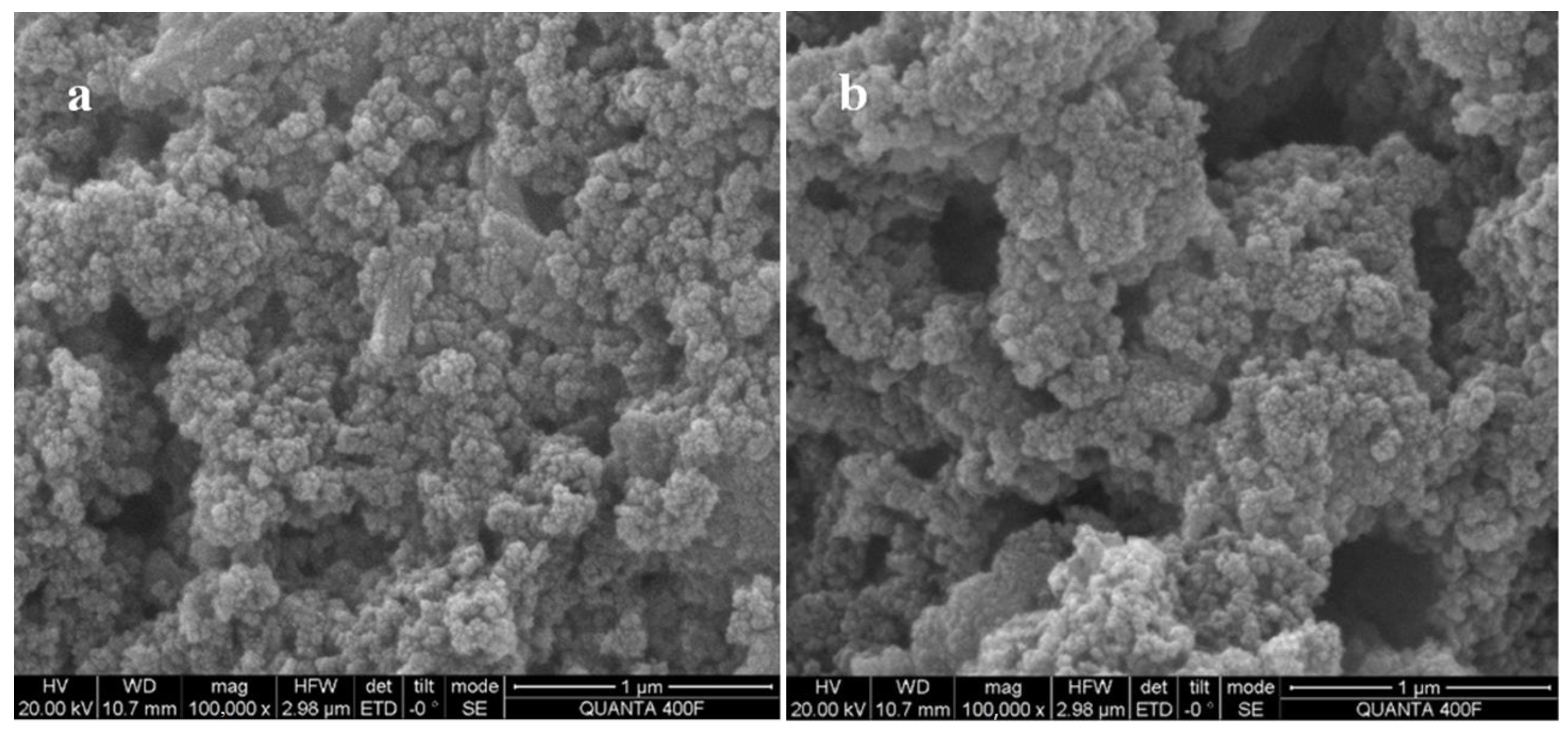 Processes 11 02050 g001