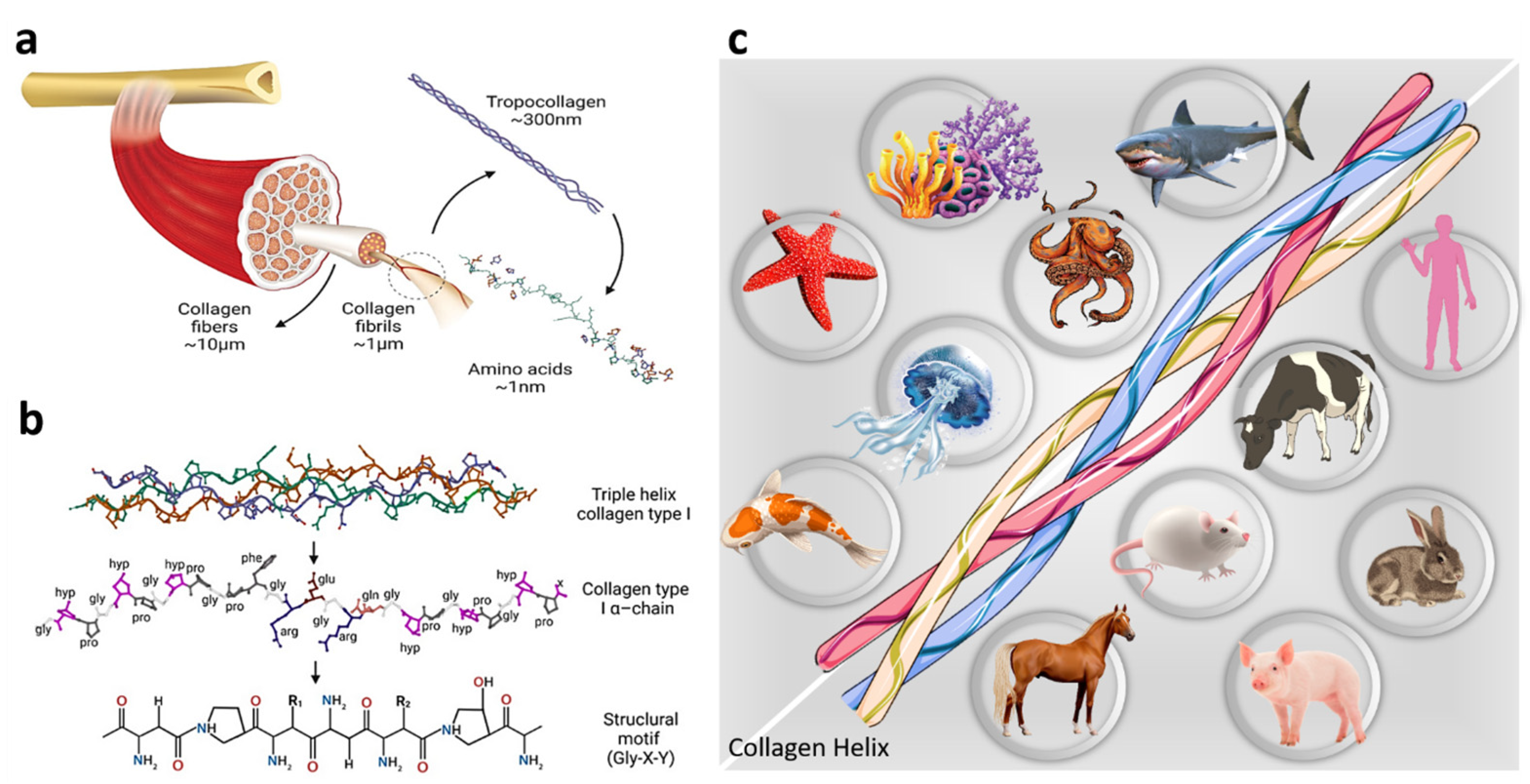 Processes 11 02105 g003