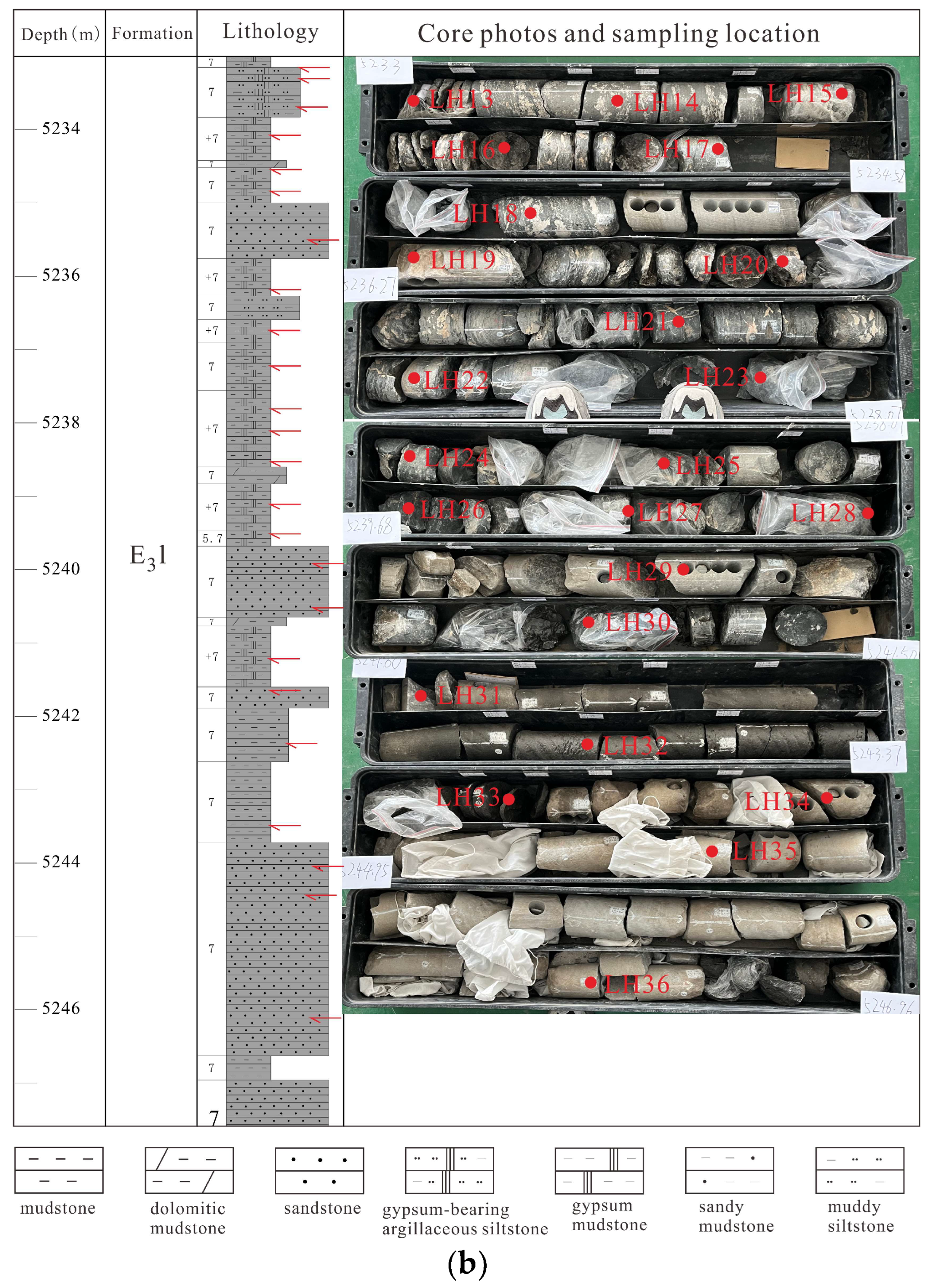 Processes 11 02114 g002b