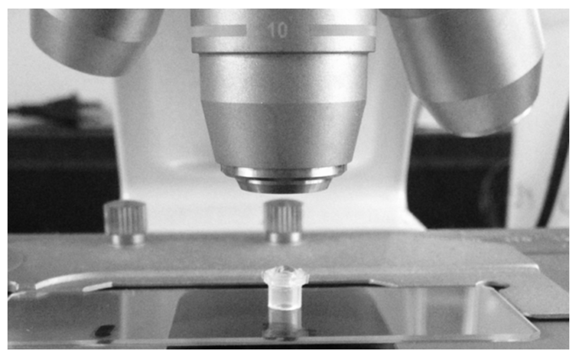 Processes 11 02148 g003