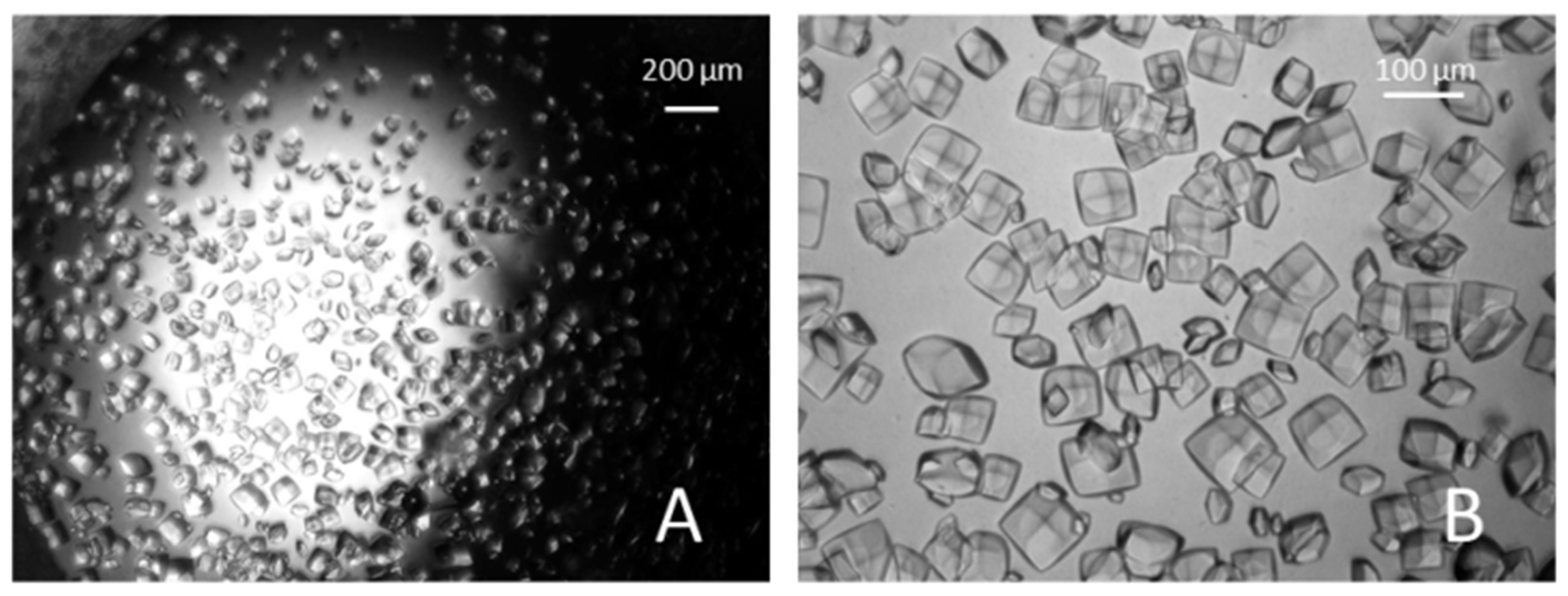 Processes 11 02148 g005
