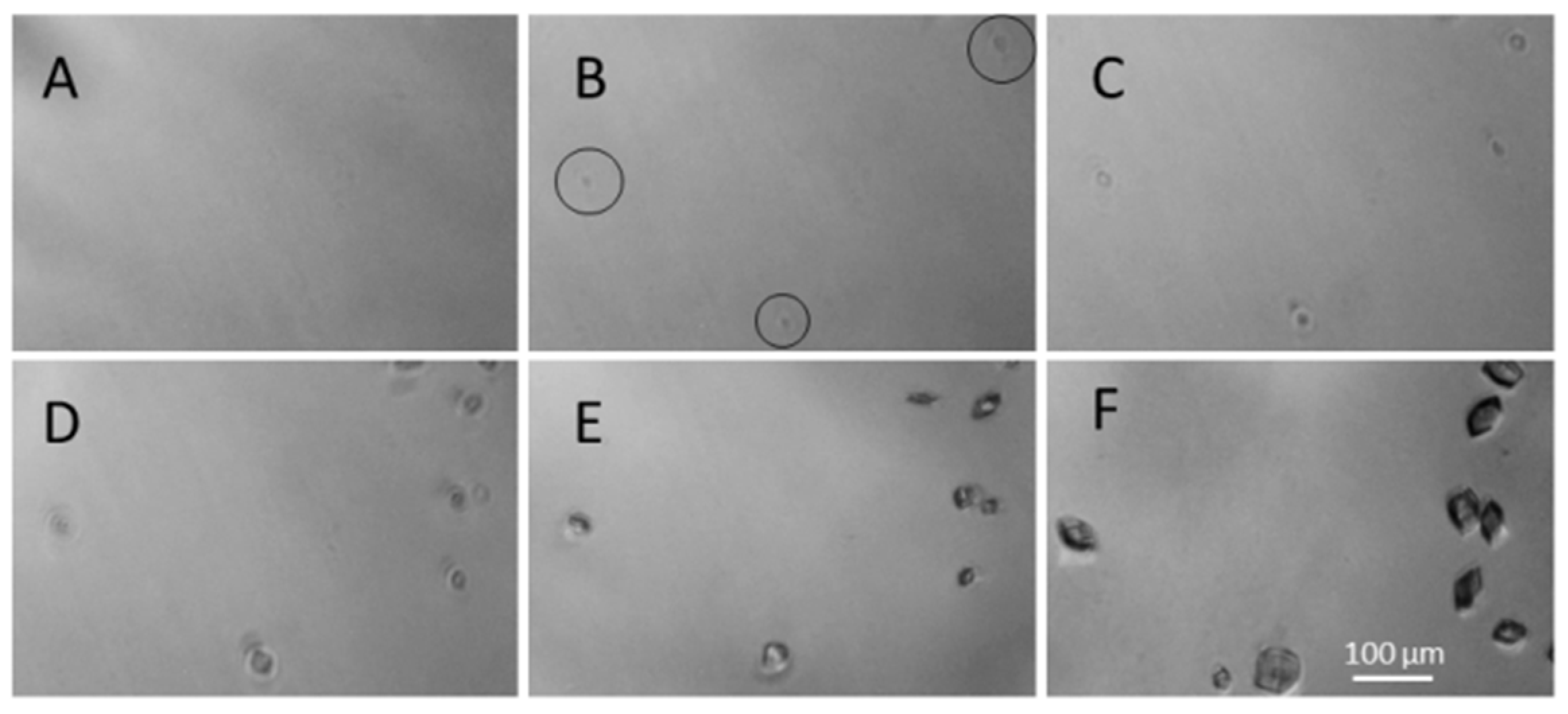 Processes 11 02148 g007