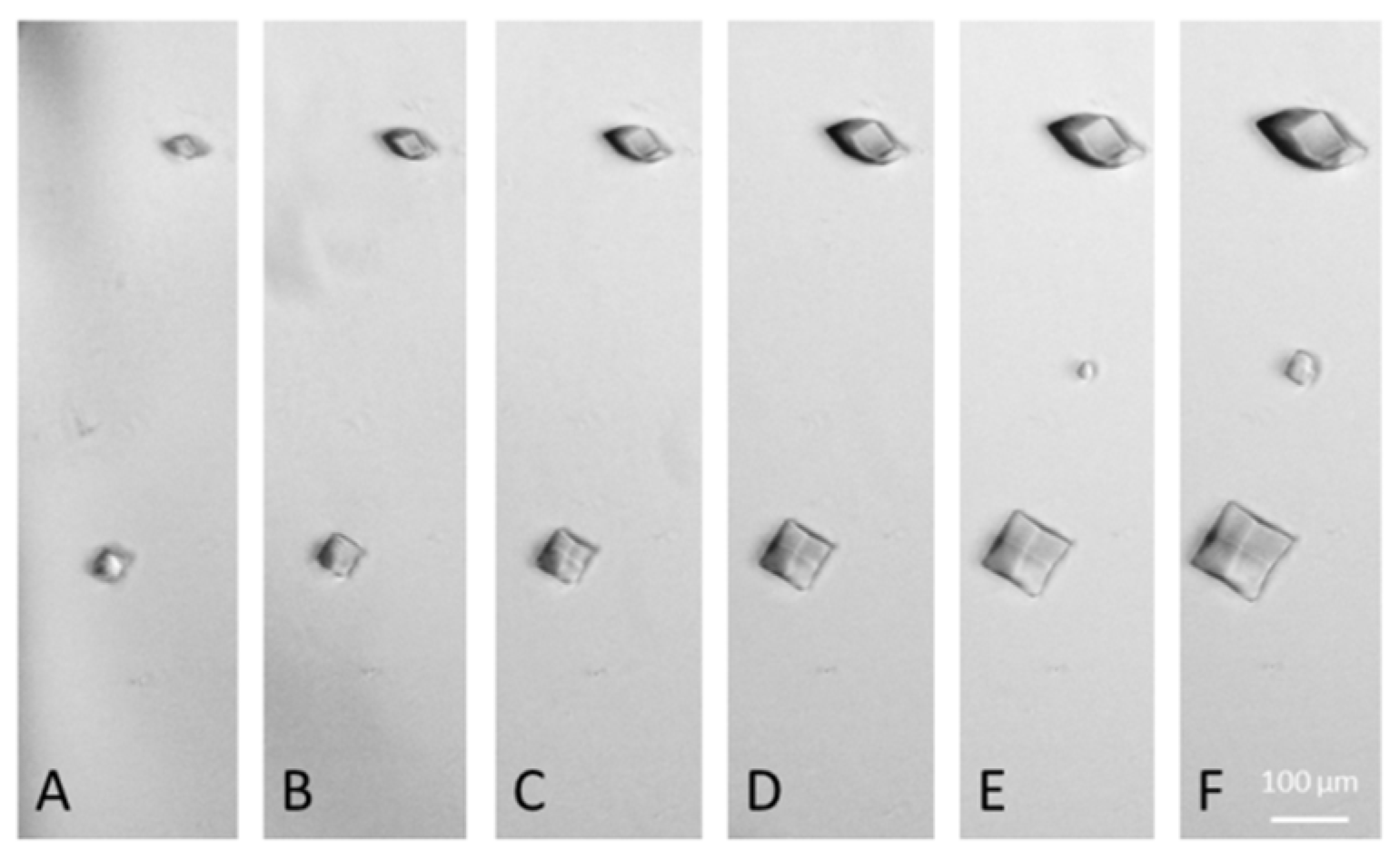 Processes 11 02148 g008