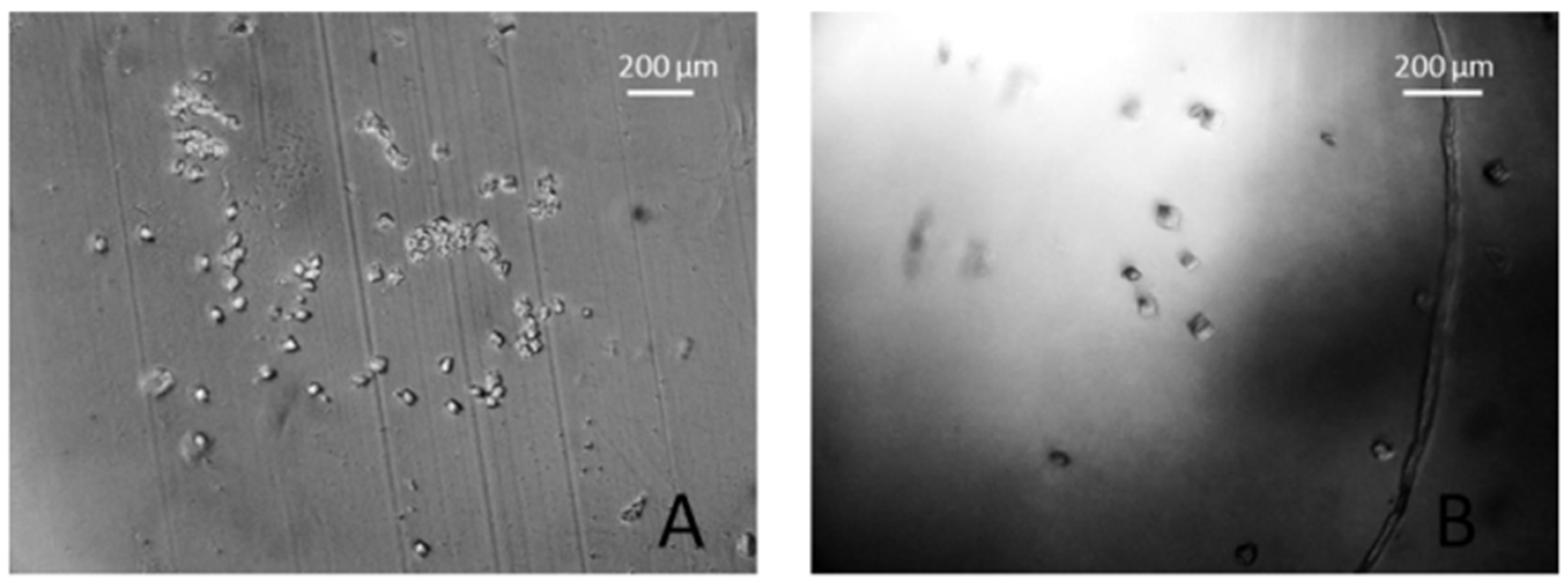 Processes 11 02148 g011