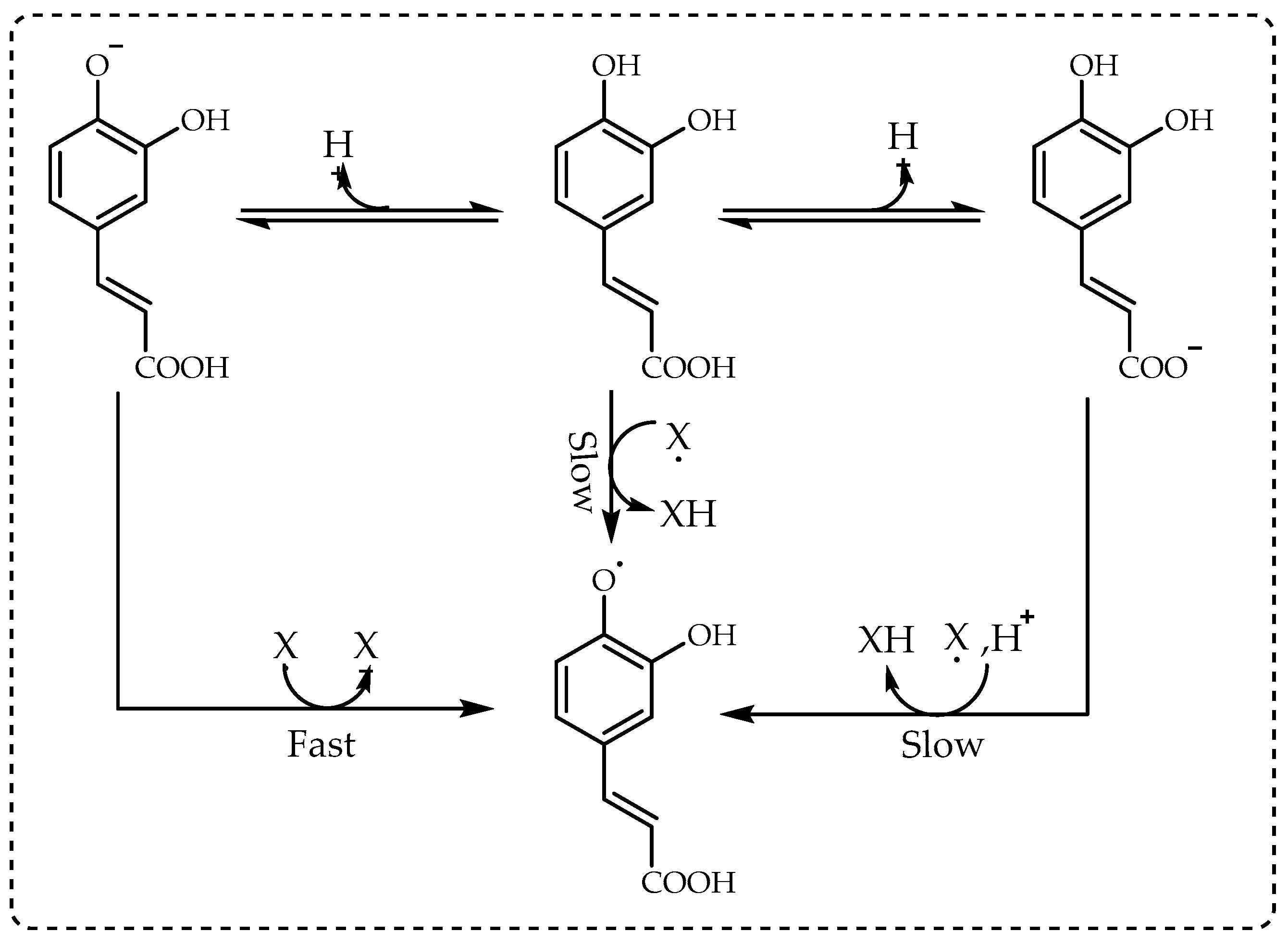 Processes | Free Full-Text | DPPH Radical Scavenging Assay