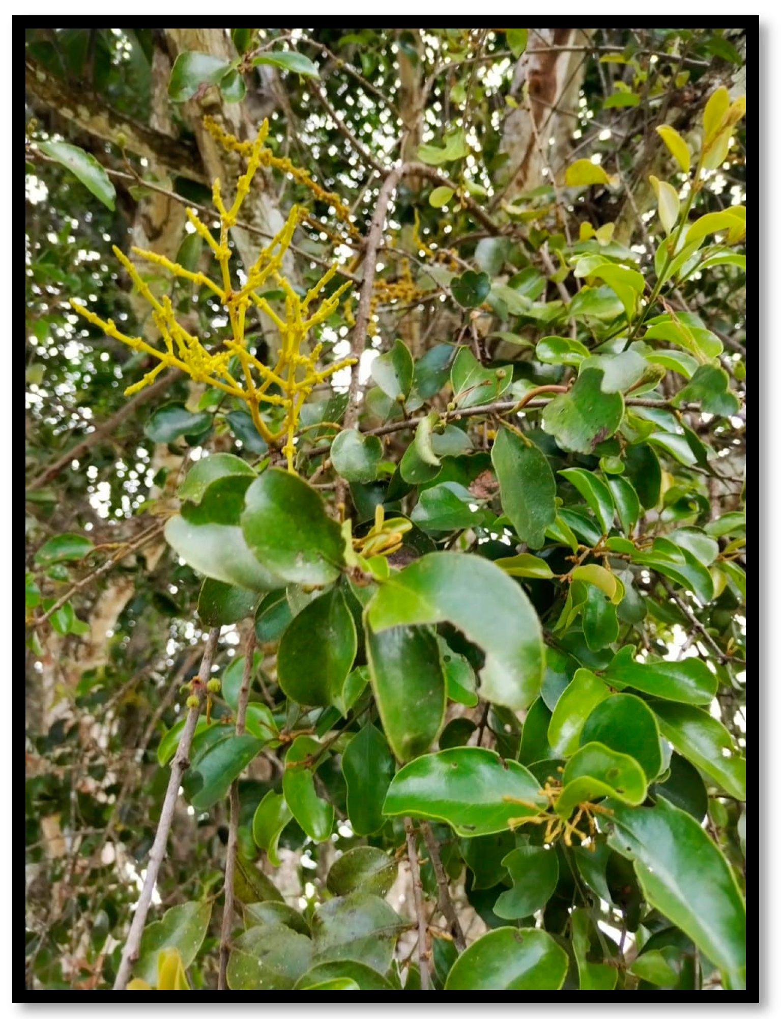 Processes 11 02348 g001 Processes 11 02348 g001