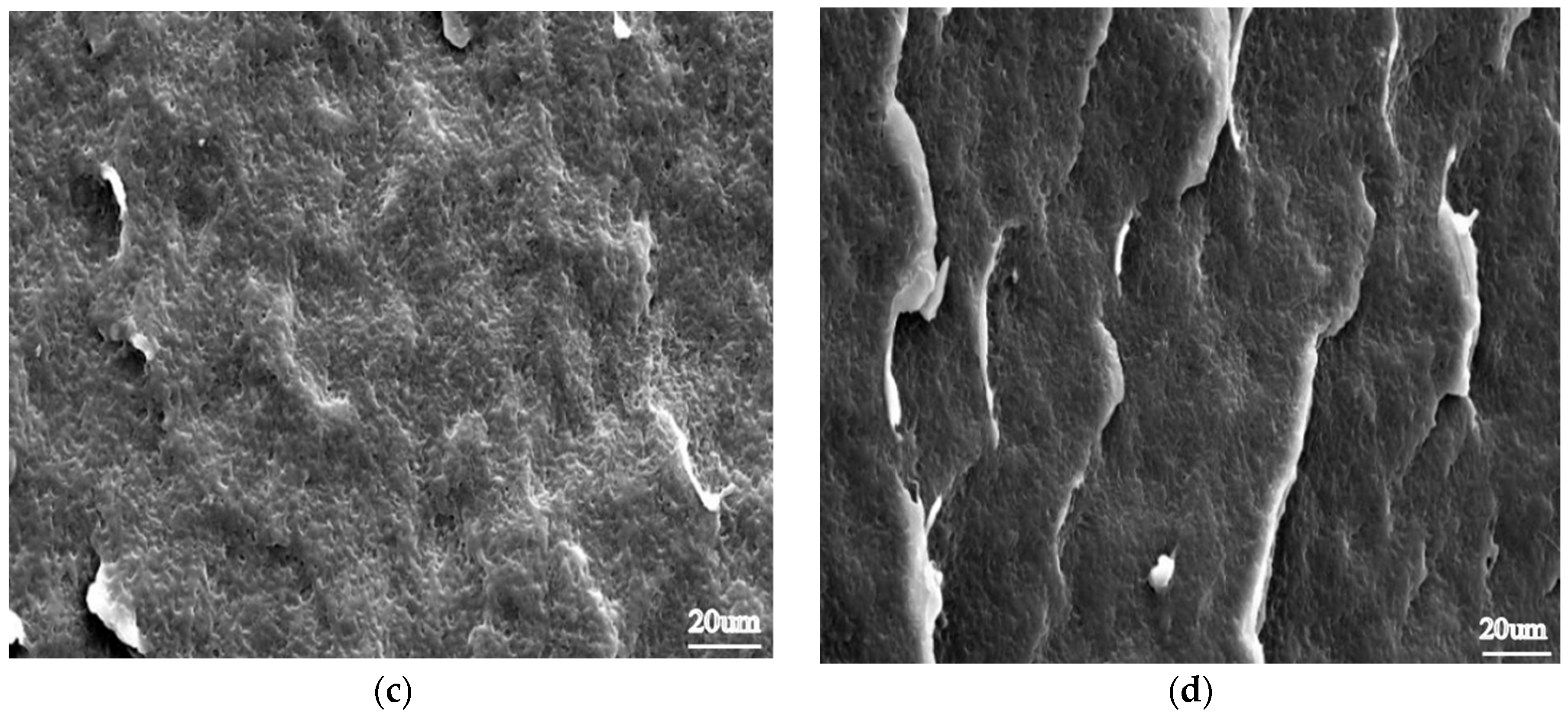 Processes 11 02384 g010b