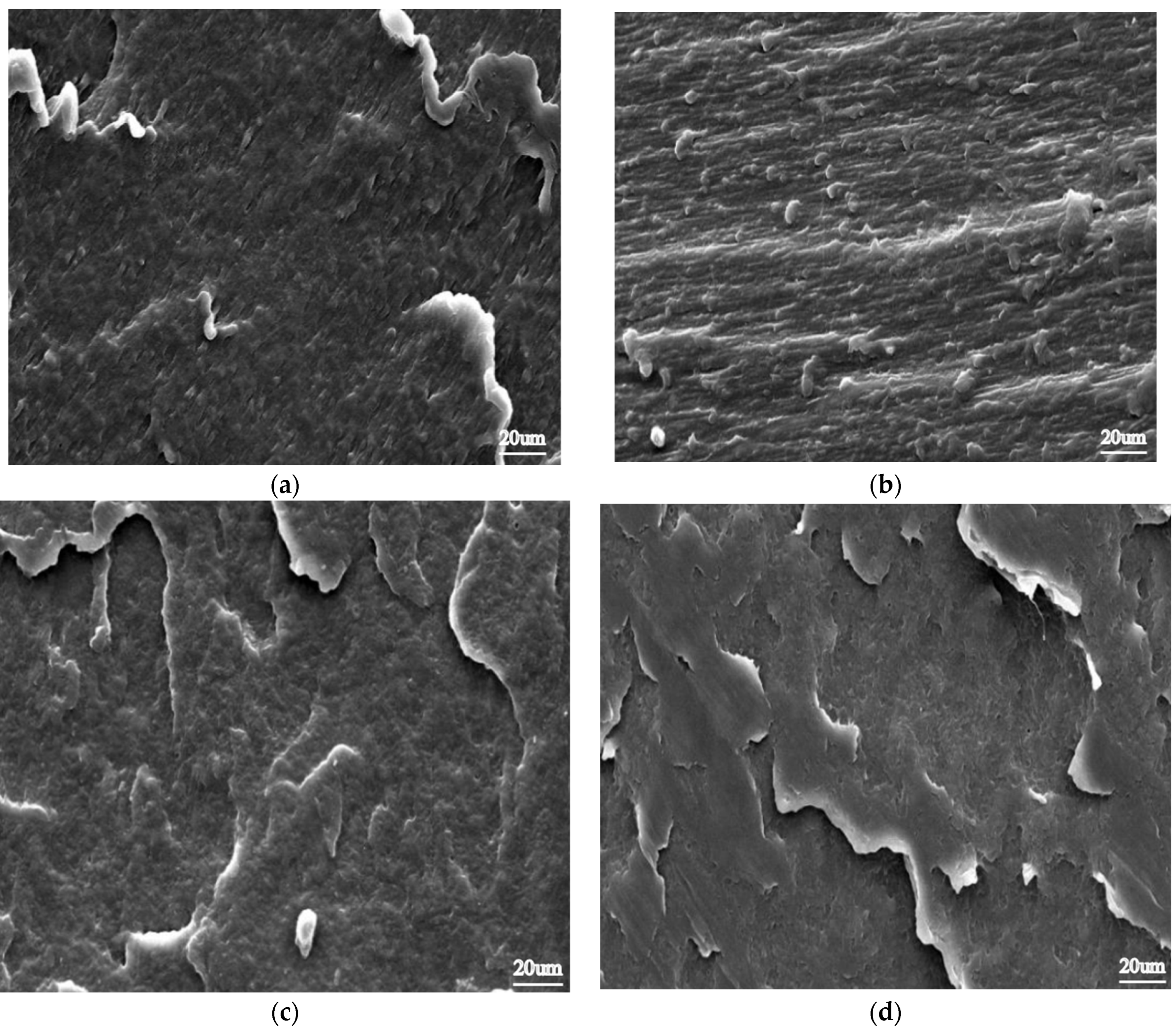 Processes 11 02384 g012