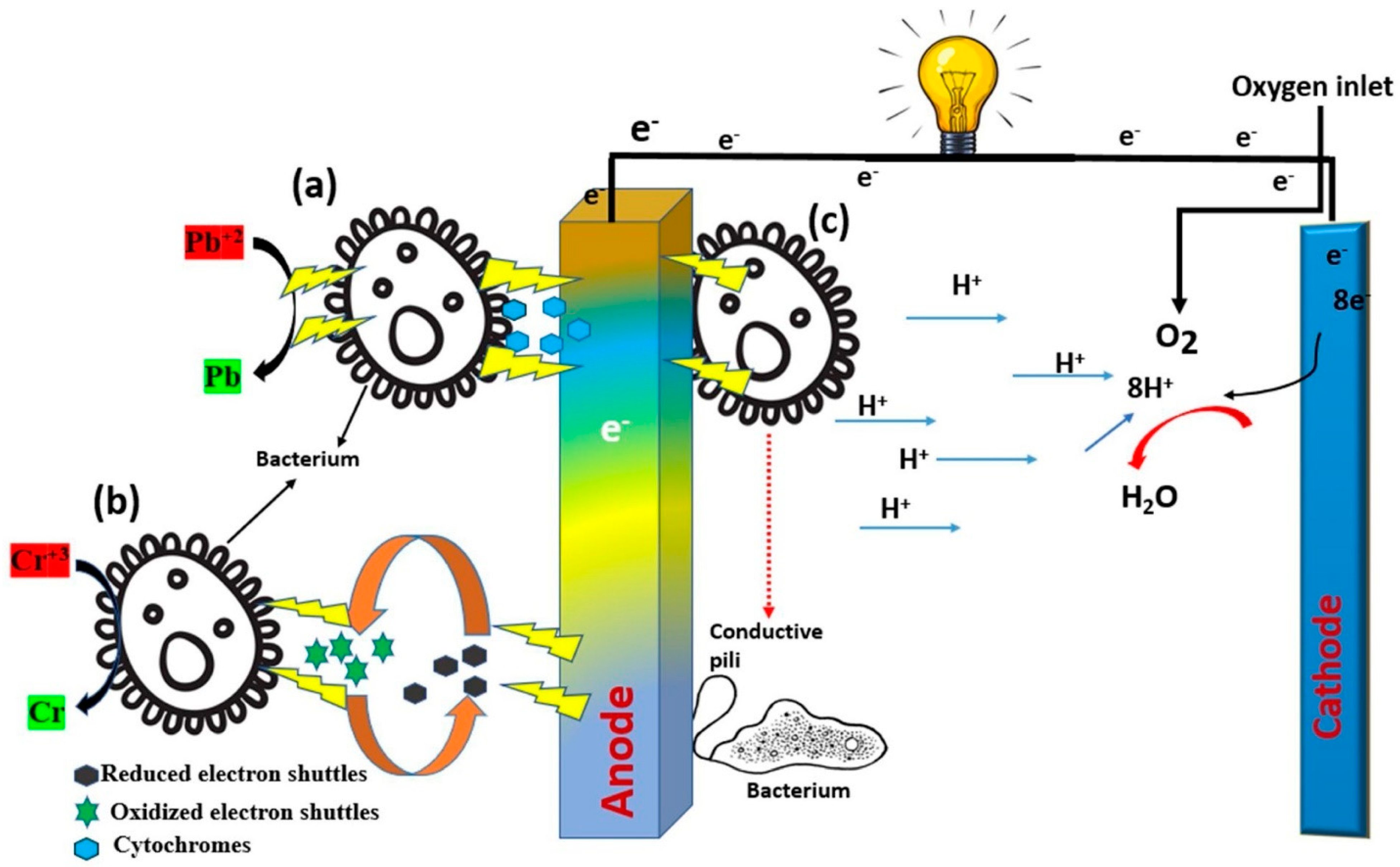Processes 11 02434 g009