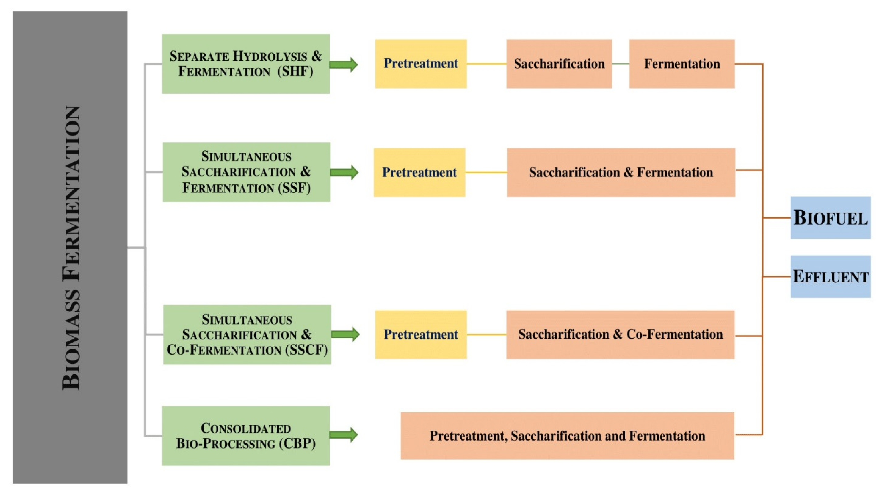 Processes 11 02451 g005 Processes 11 02451 g005