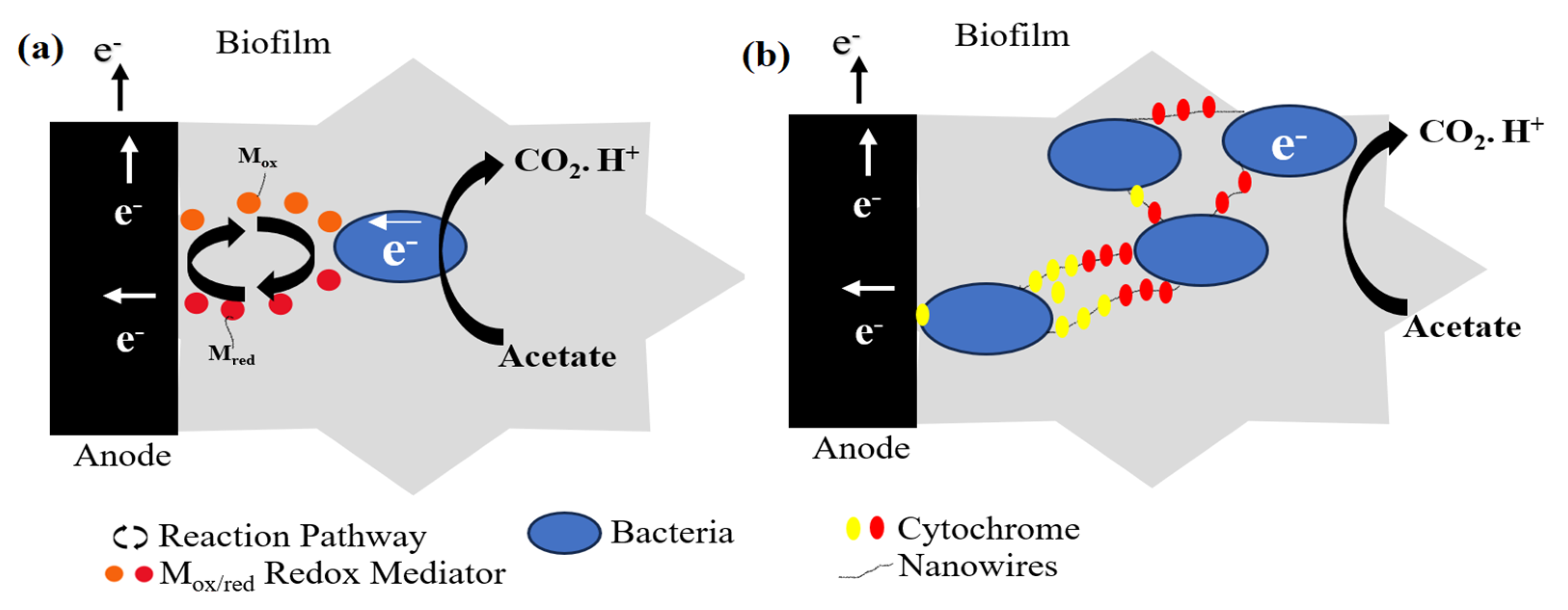 Processes 11 02451 g006 Processes 11 02451 g006