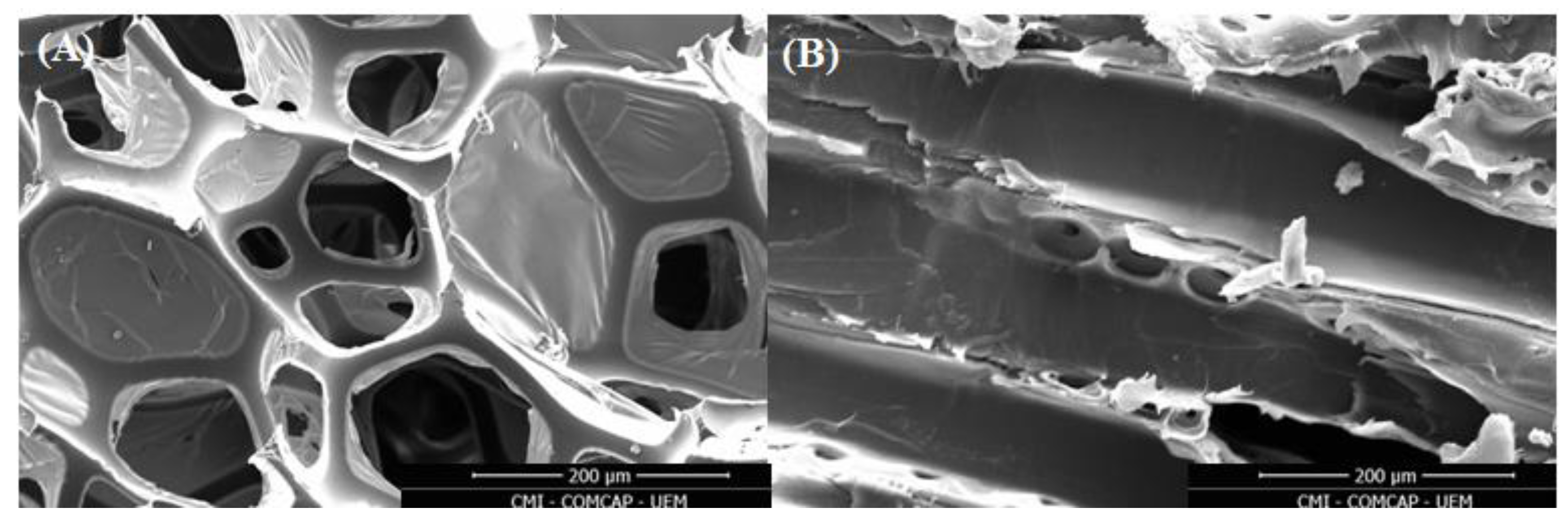 Processes 11 02478 g002