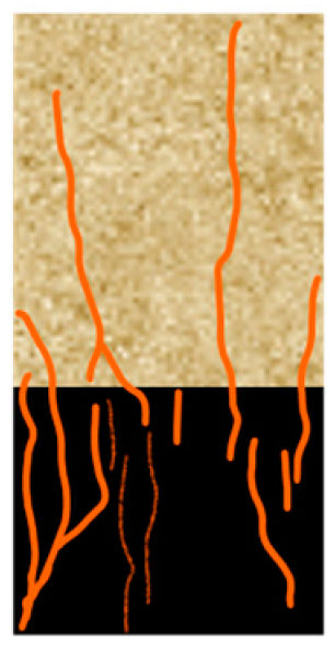 Processes 11 02599 i015