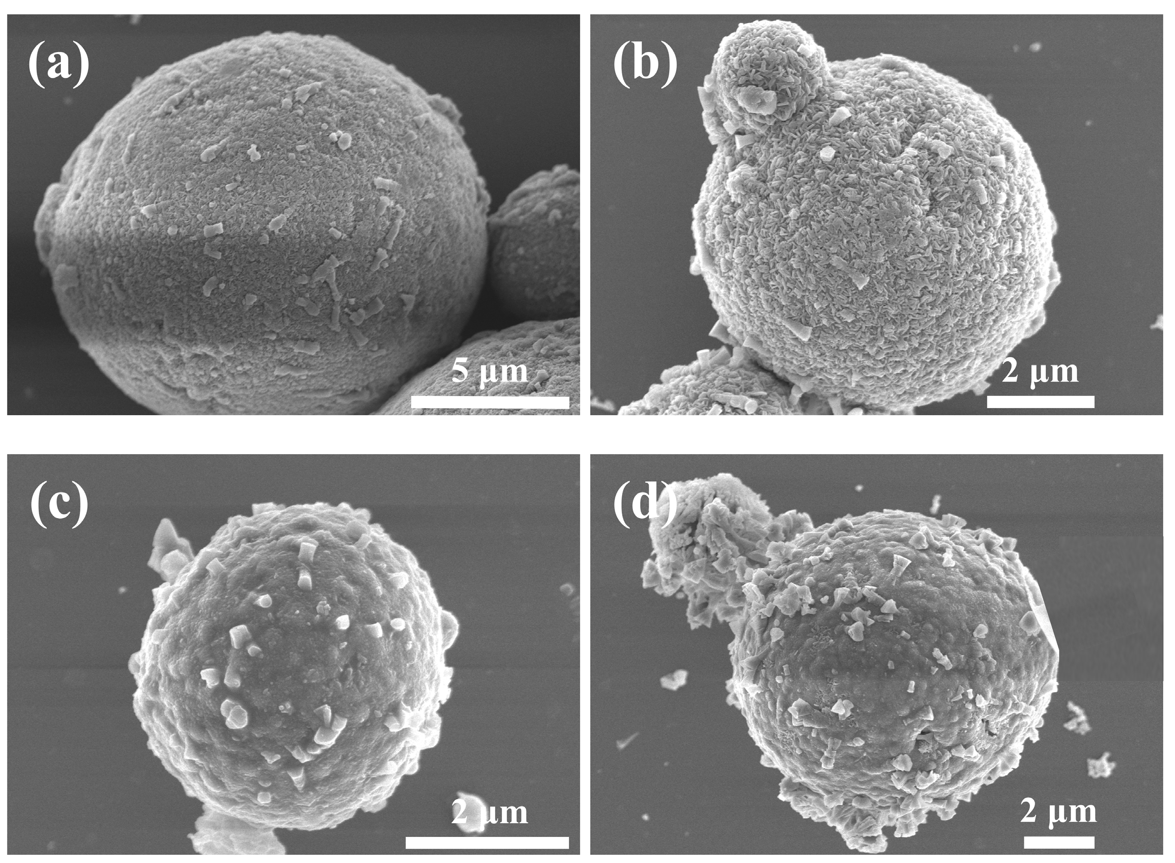 Processes 11 02659 g003 Processes 11 02659 g003