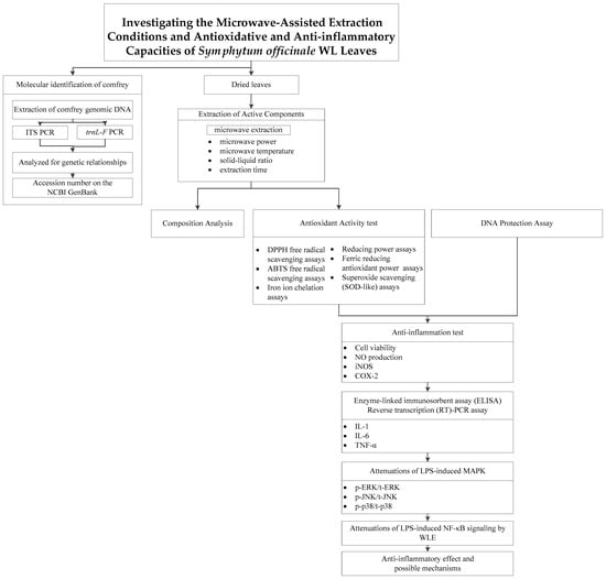 https://www.mdpi.com/processes/processes-11-02750/article_deploy/html/images/processes-11-02750-g001-550.jpg